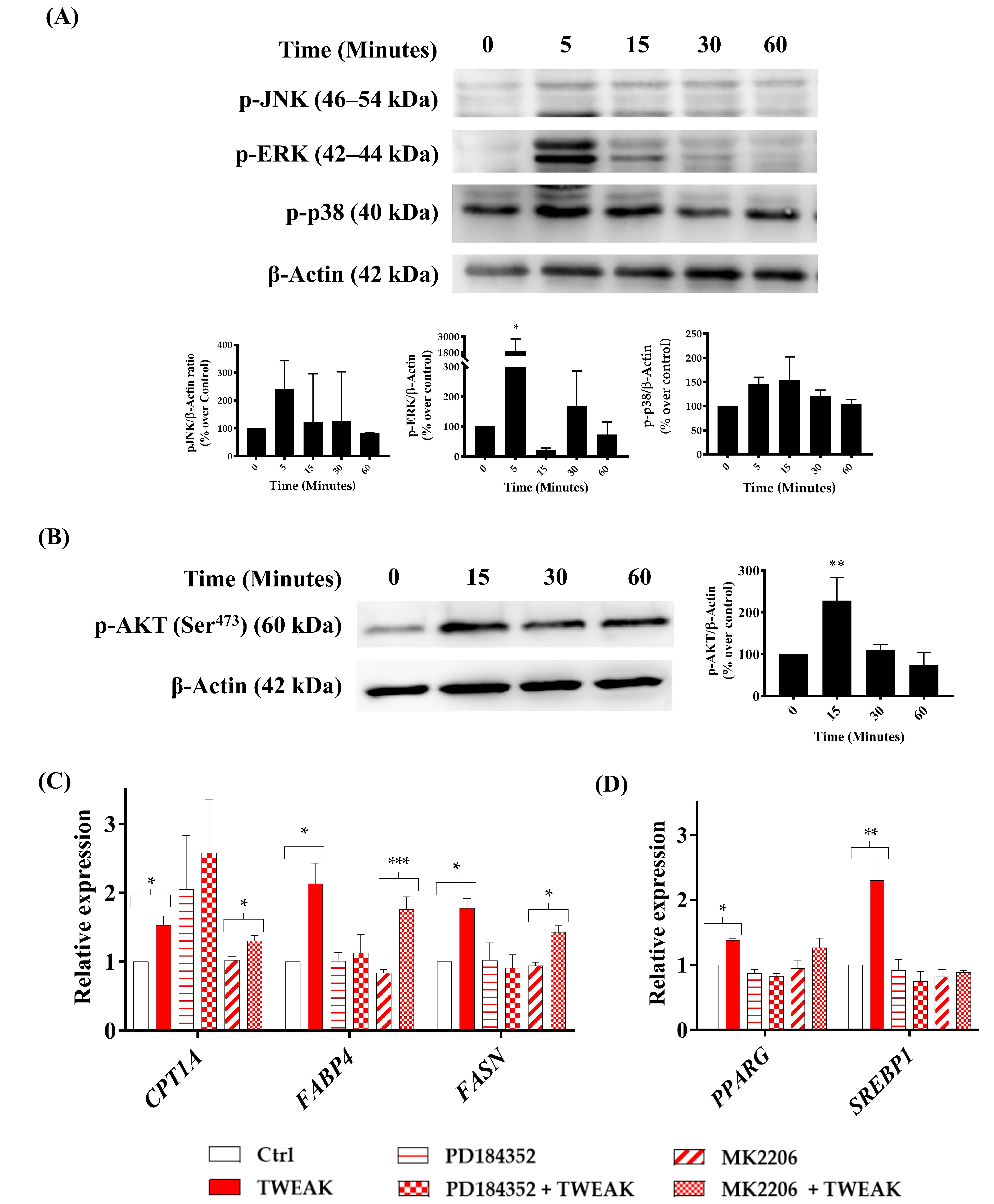 Cancers 13 04688 g005