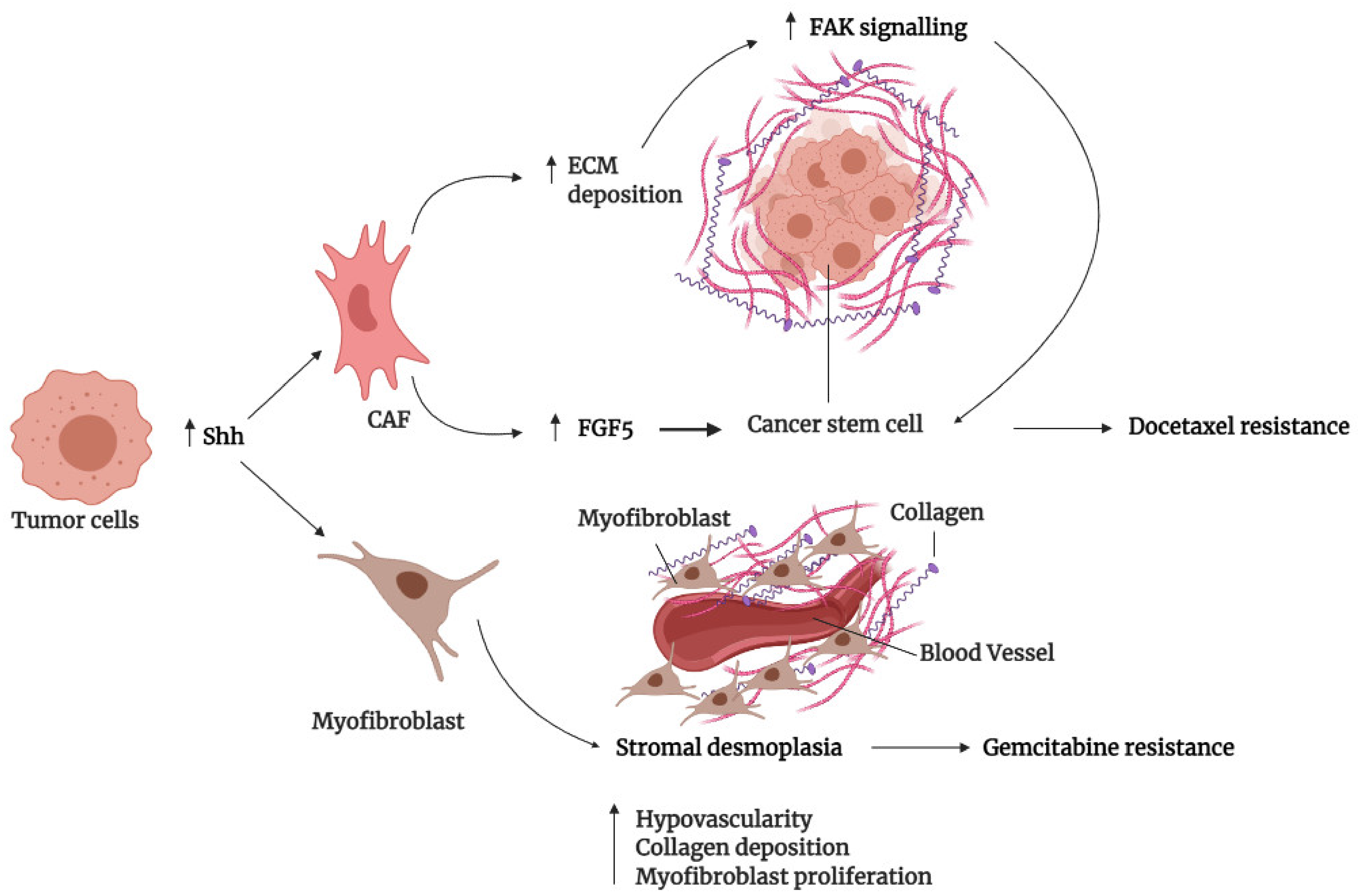 Cancers, Free Full-Text