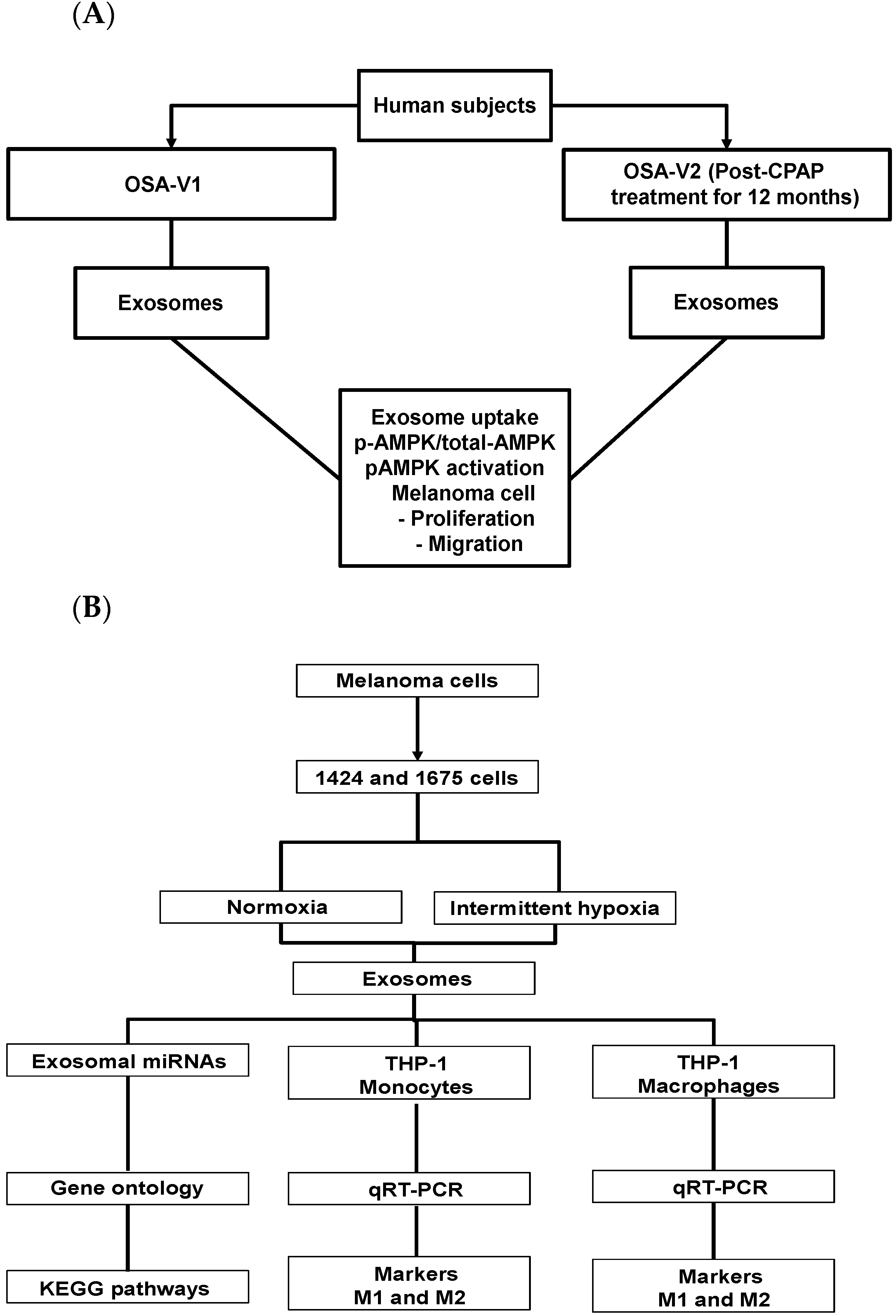 Cancers Free Full Text Heterogeneity of Melanoma Cell