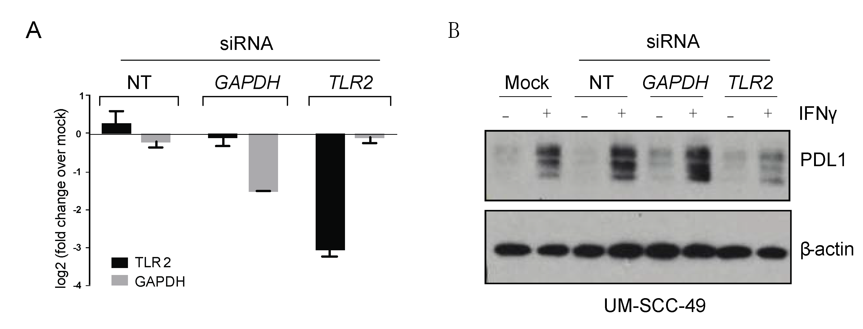 Cancers 13 04782 g003