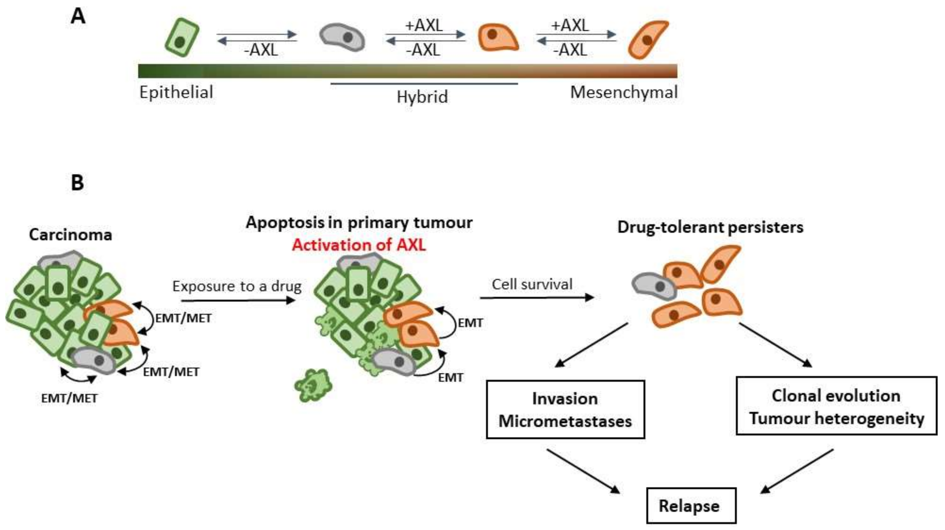 Cancers 13 04864 g002 Cancers 13 04864 g002