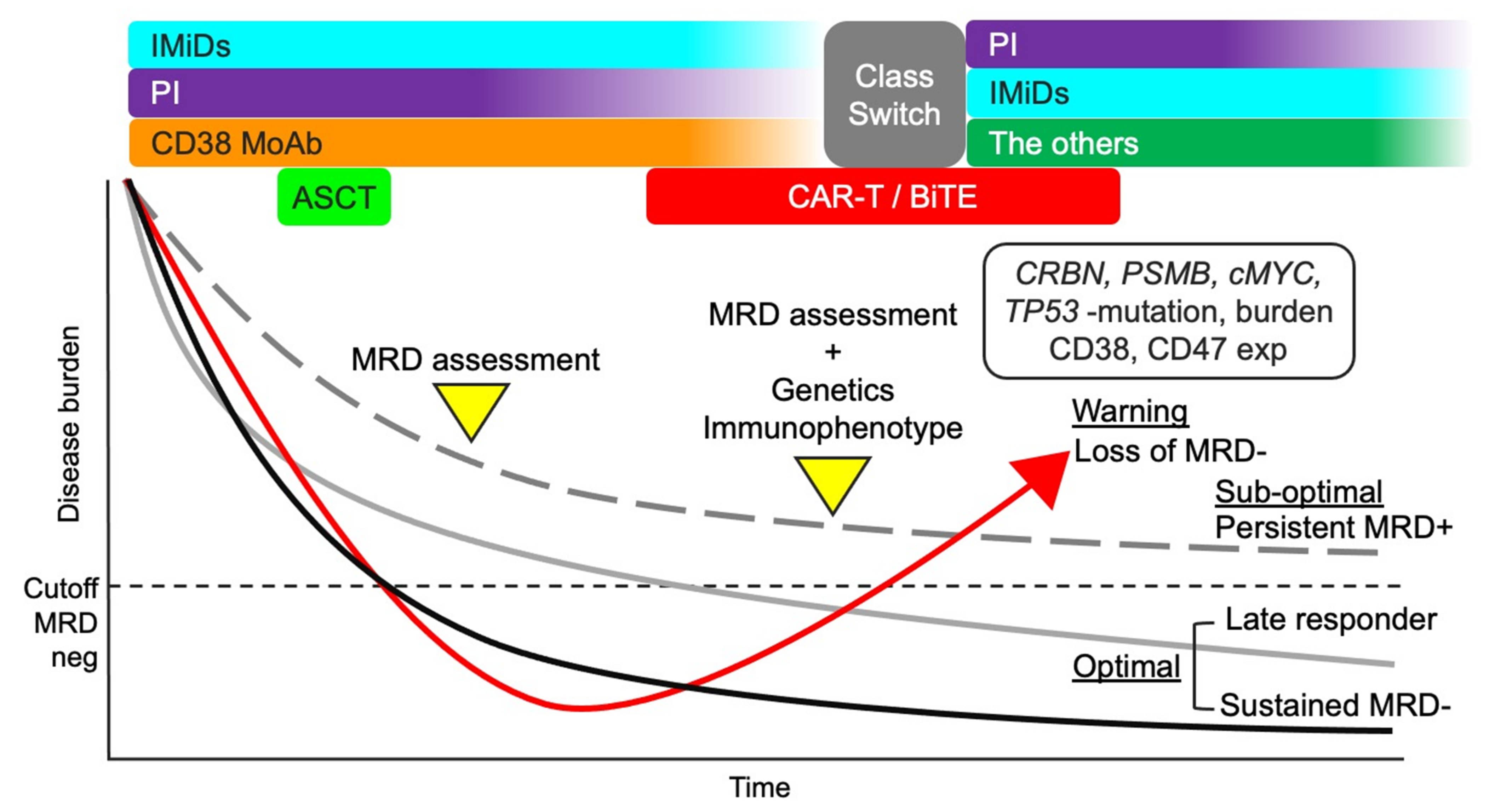 Cancers 13 04867 g003 Cancers 13 04867 g003