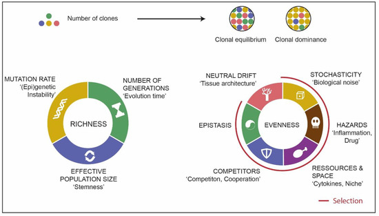 Cancers Free Full Text Clonal Architecture And Evolutionary Dynamics In Acute Myeloid Leukemias Html