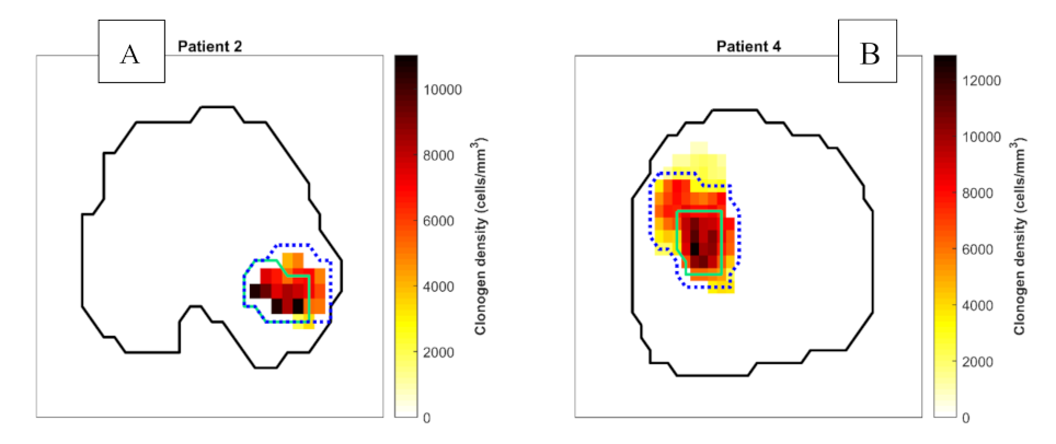 Cancers 13 04897 g003