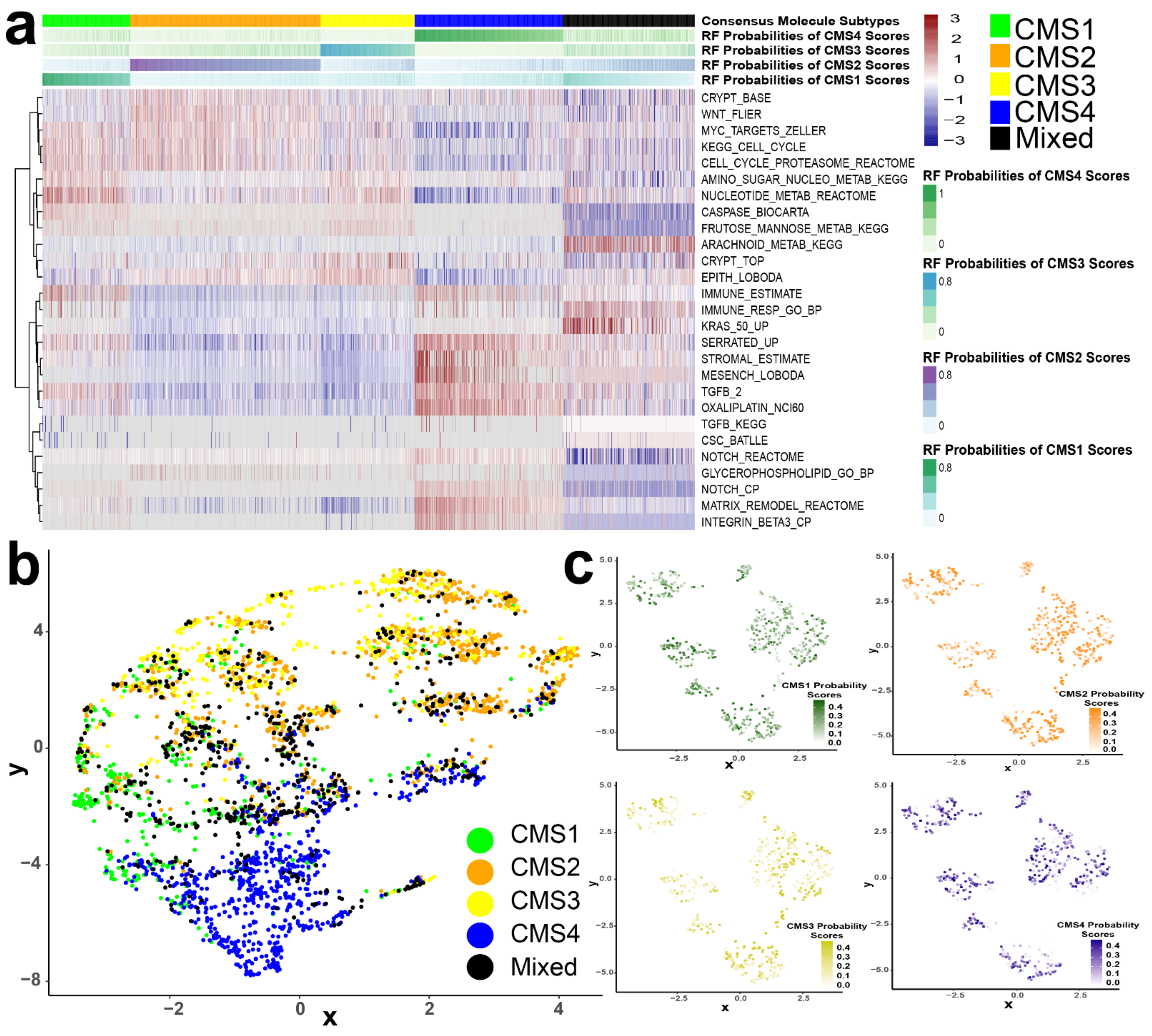 Cancers 13 04923 g003