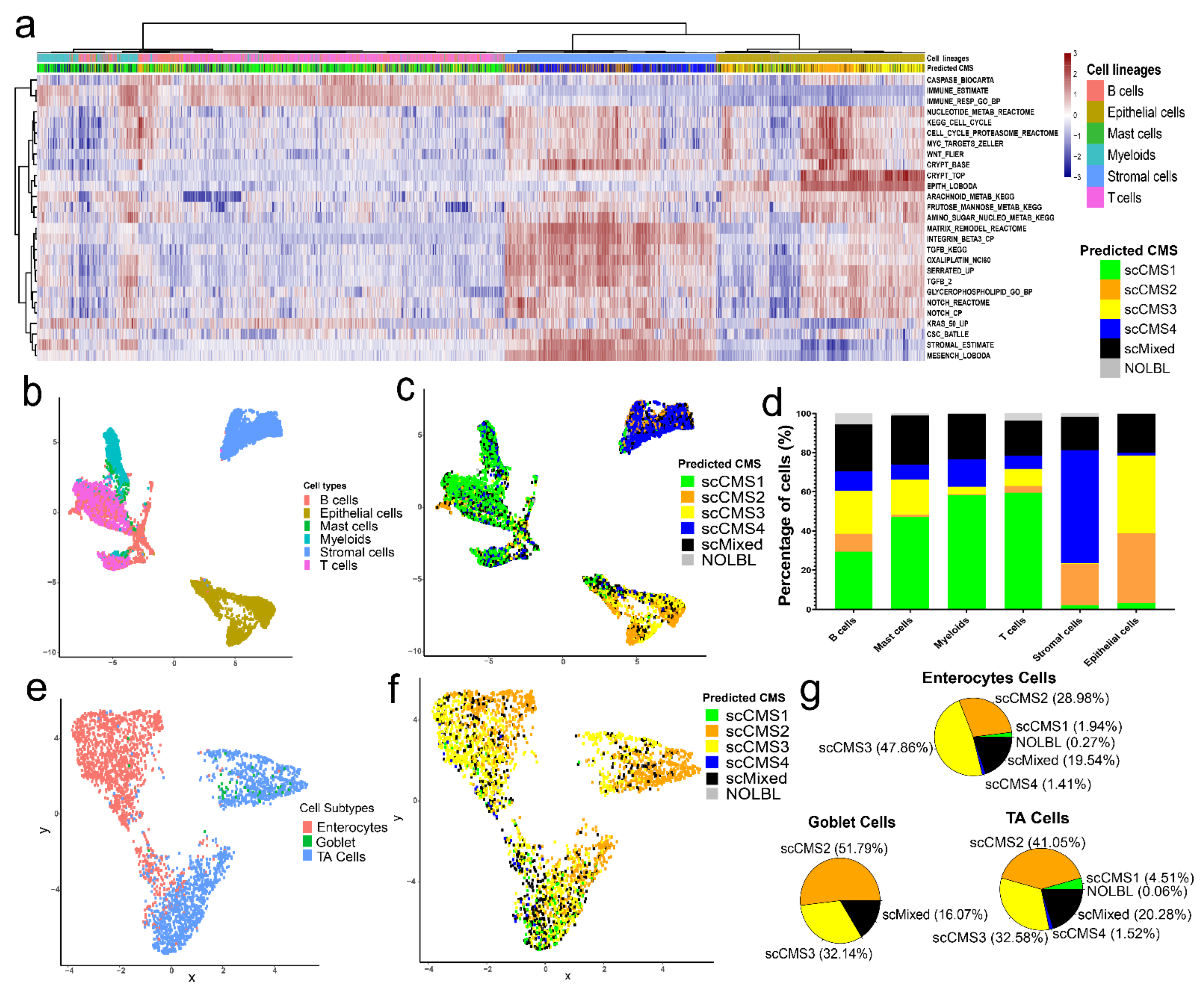 Cancers 13 04923 g004