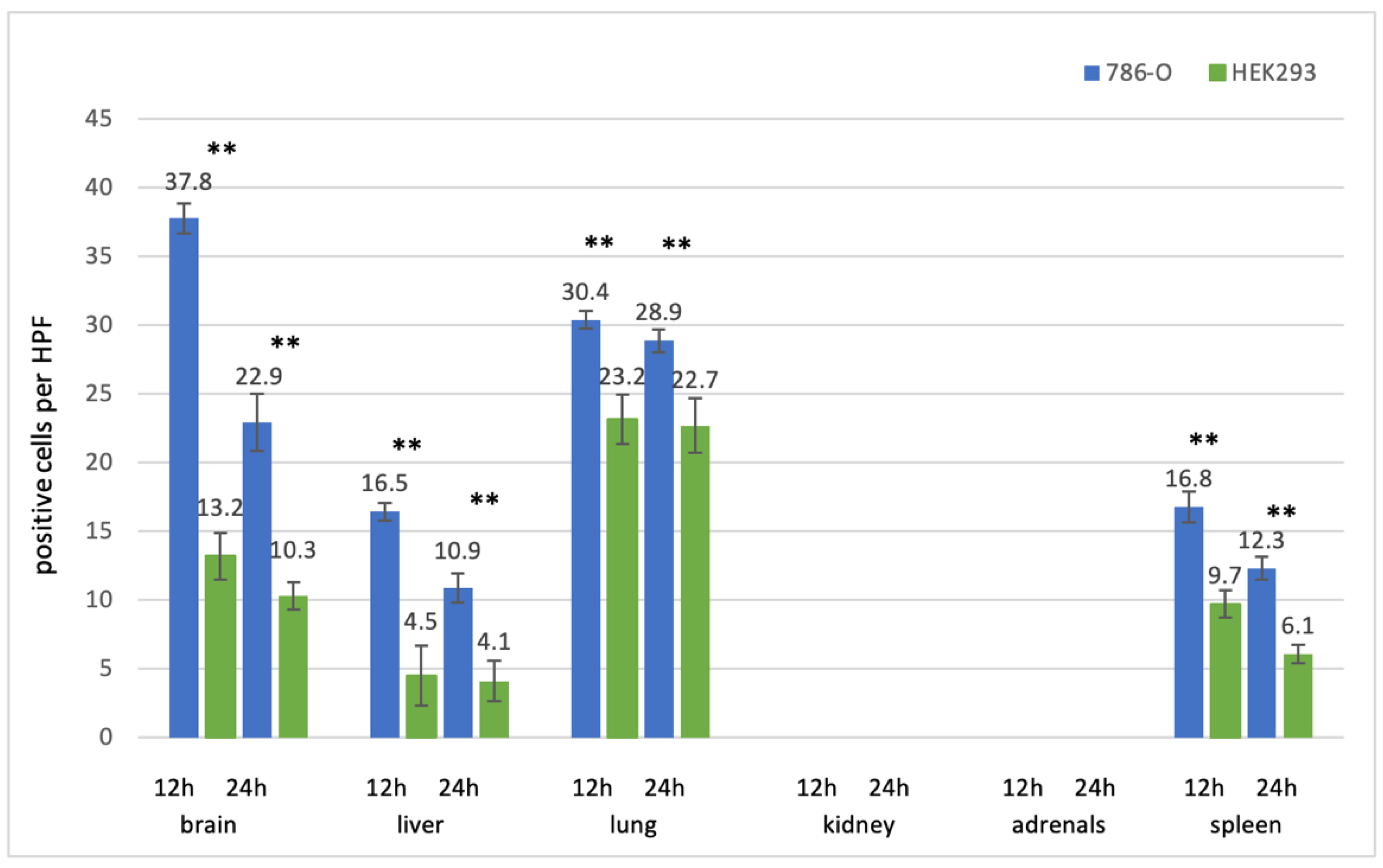 Cancers 13 04937 g007