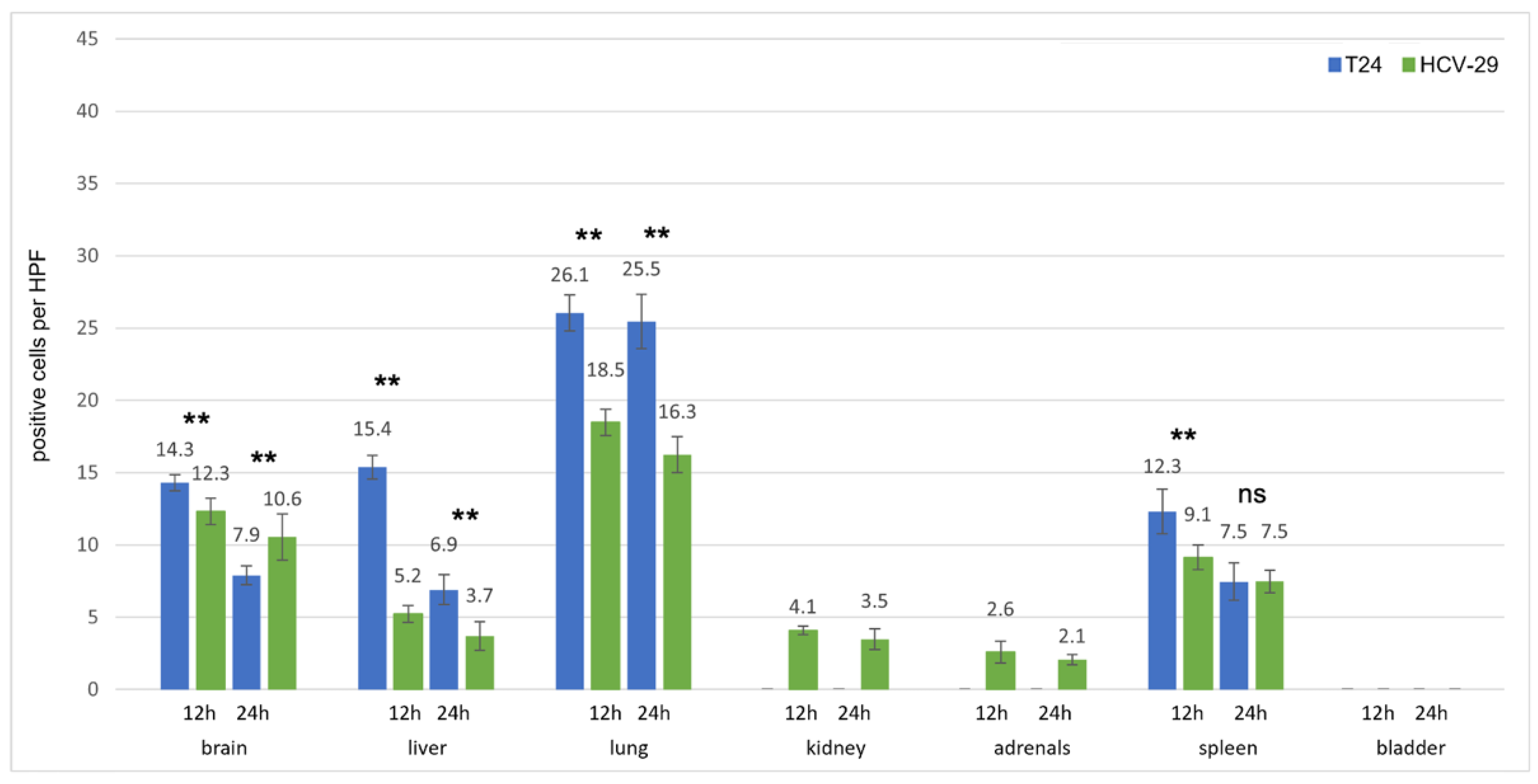 Cancers 13 04937 g008