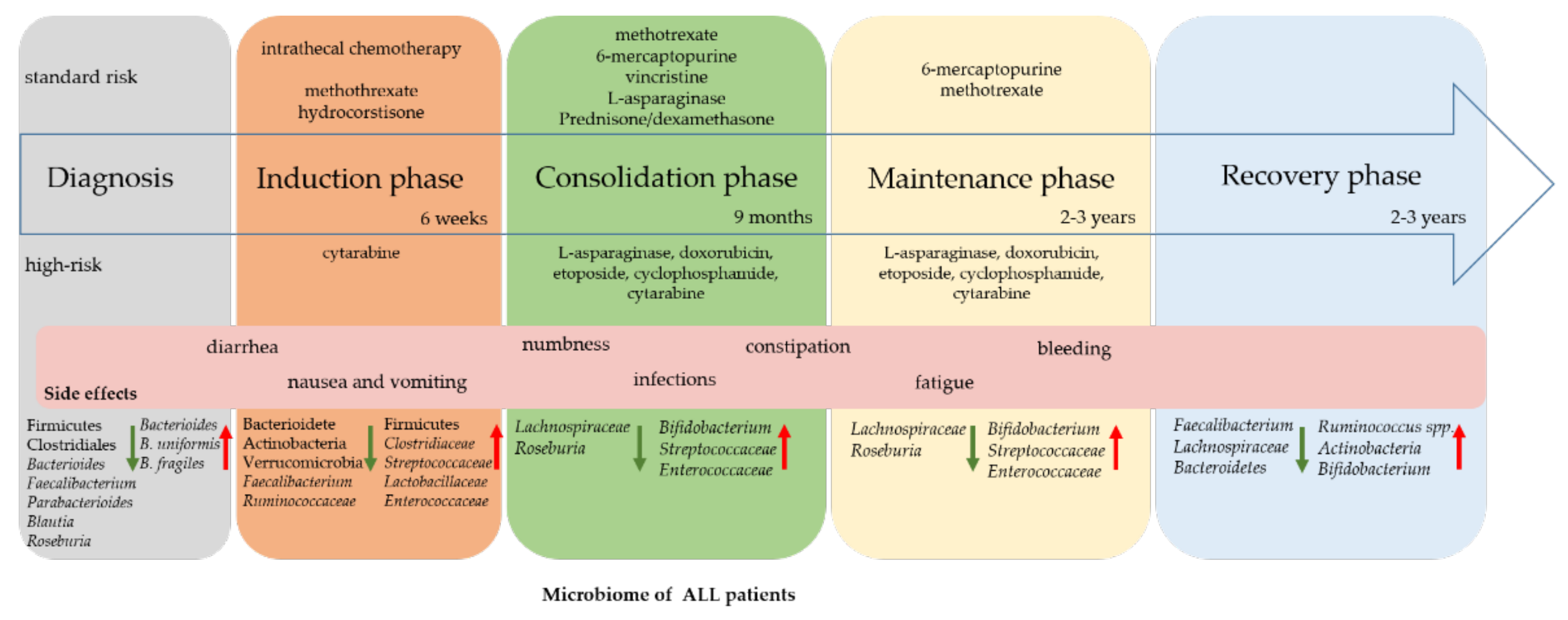 Frontiers  Pharmacogenetics of pediatric acute lymphoblastic leukemia in  Uruguay: adverse events related to induction phase drugs