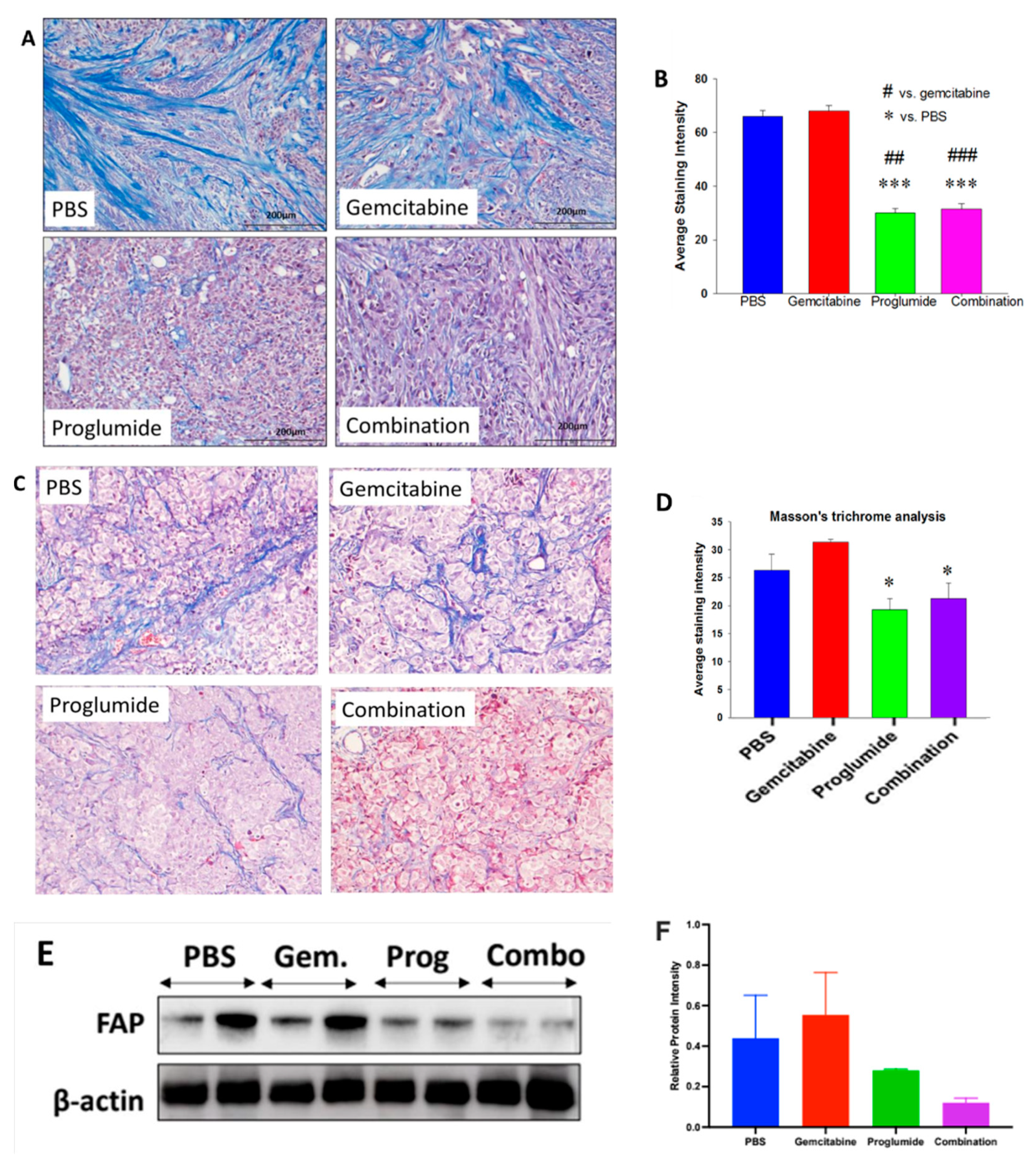 Cancers 13 04949 g002
