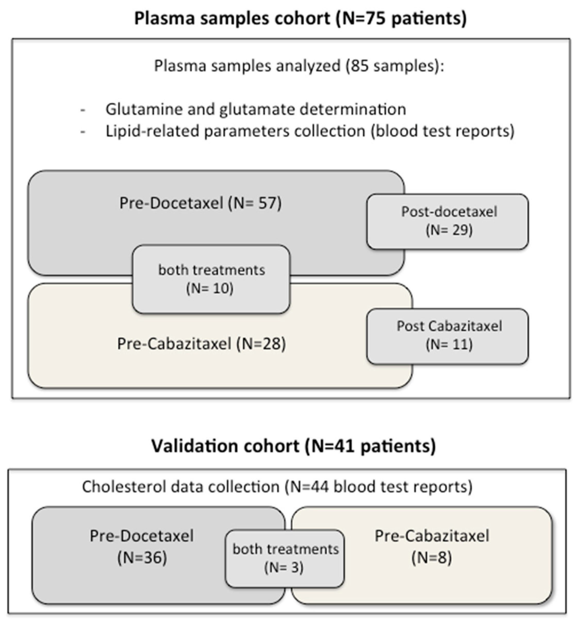 Cancers 13 04960 g001