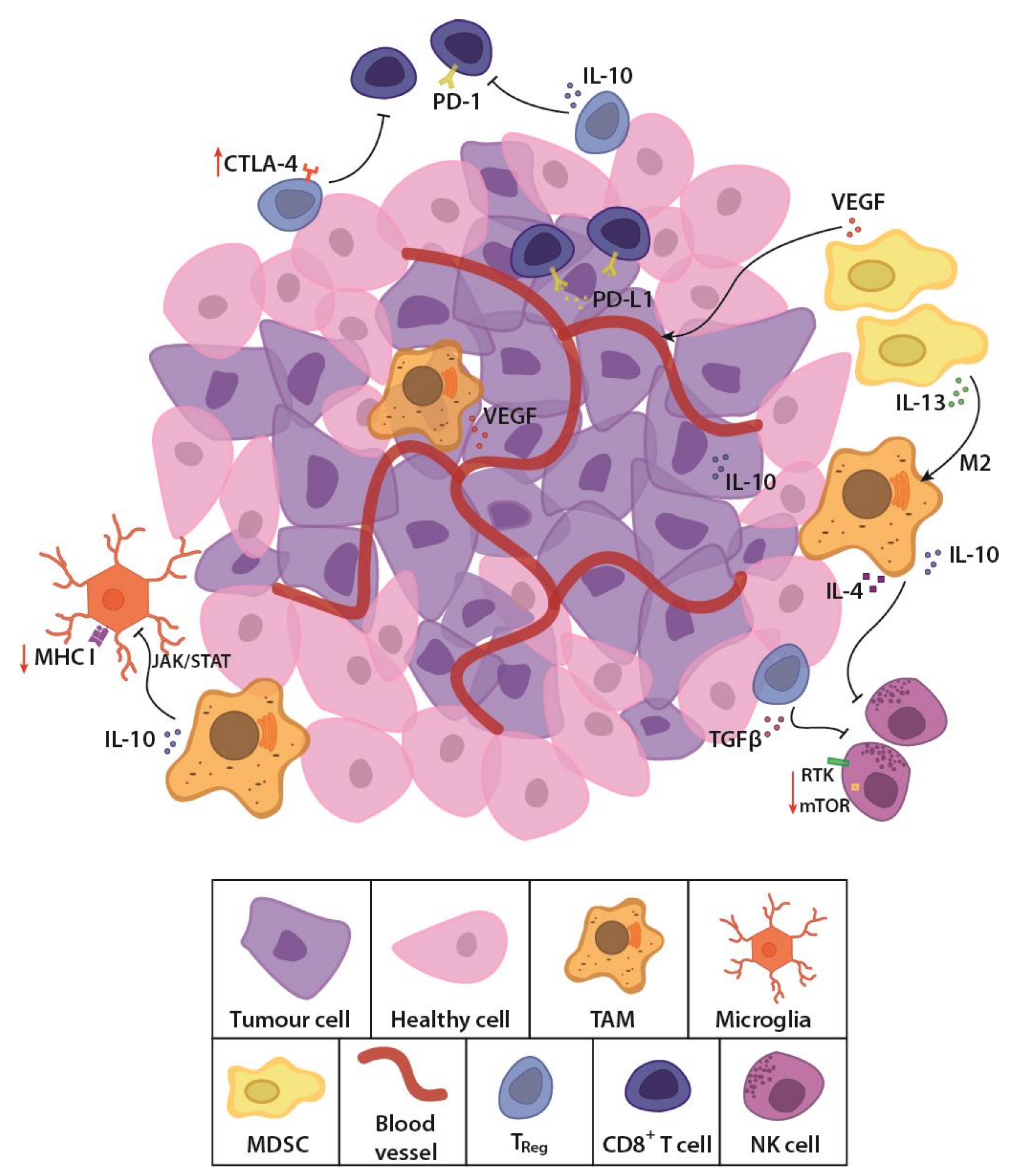 Cancers | Free Full-Text | Challenges and Prospects for Designer T and NK  Cells in Glioblastoma Immunotherapy | HTML