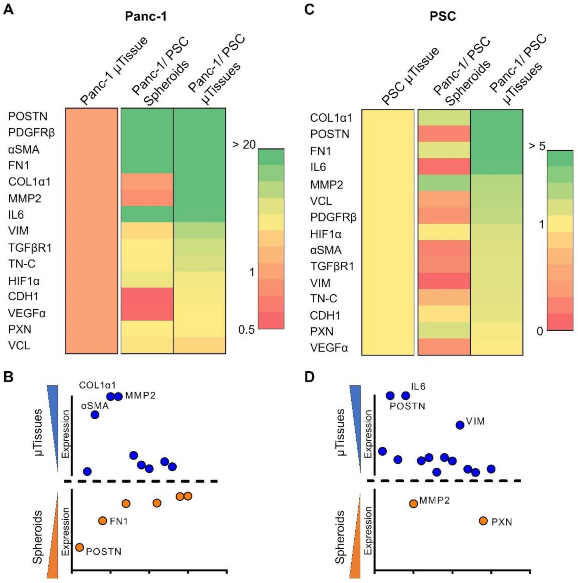 Cancers 13 05006 g004