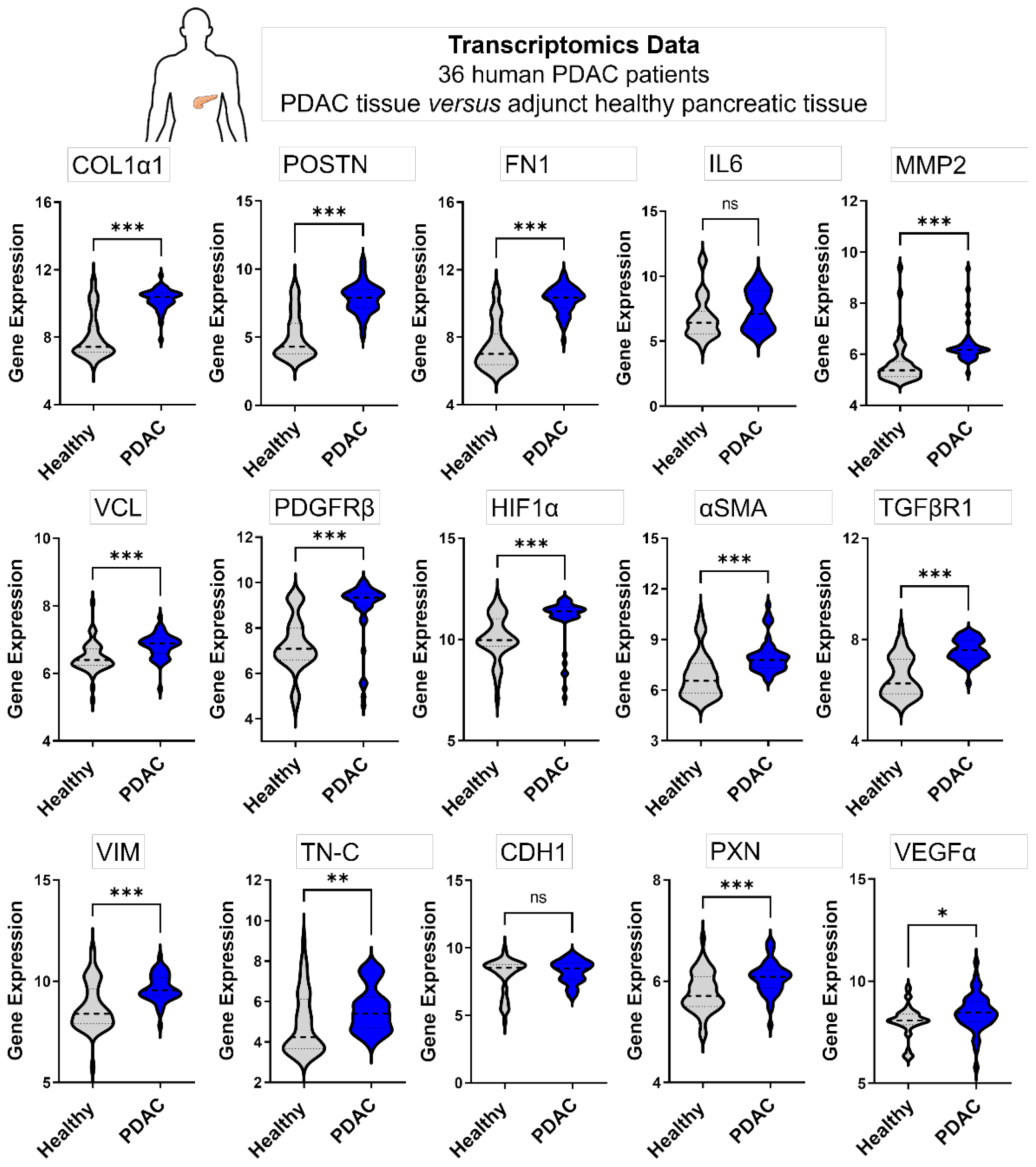 Cancers 13 05006 g005