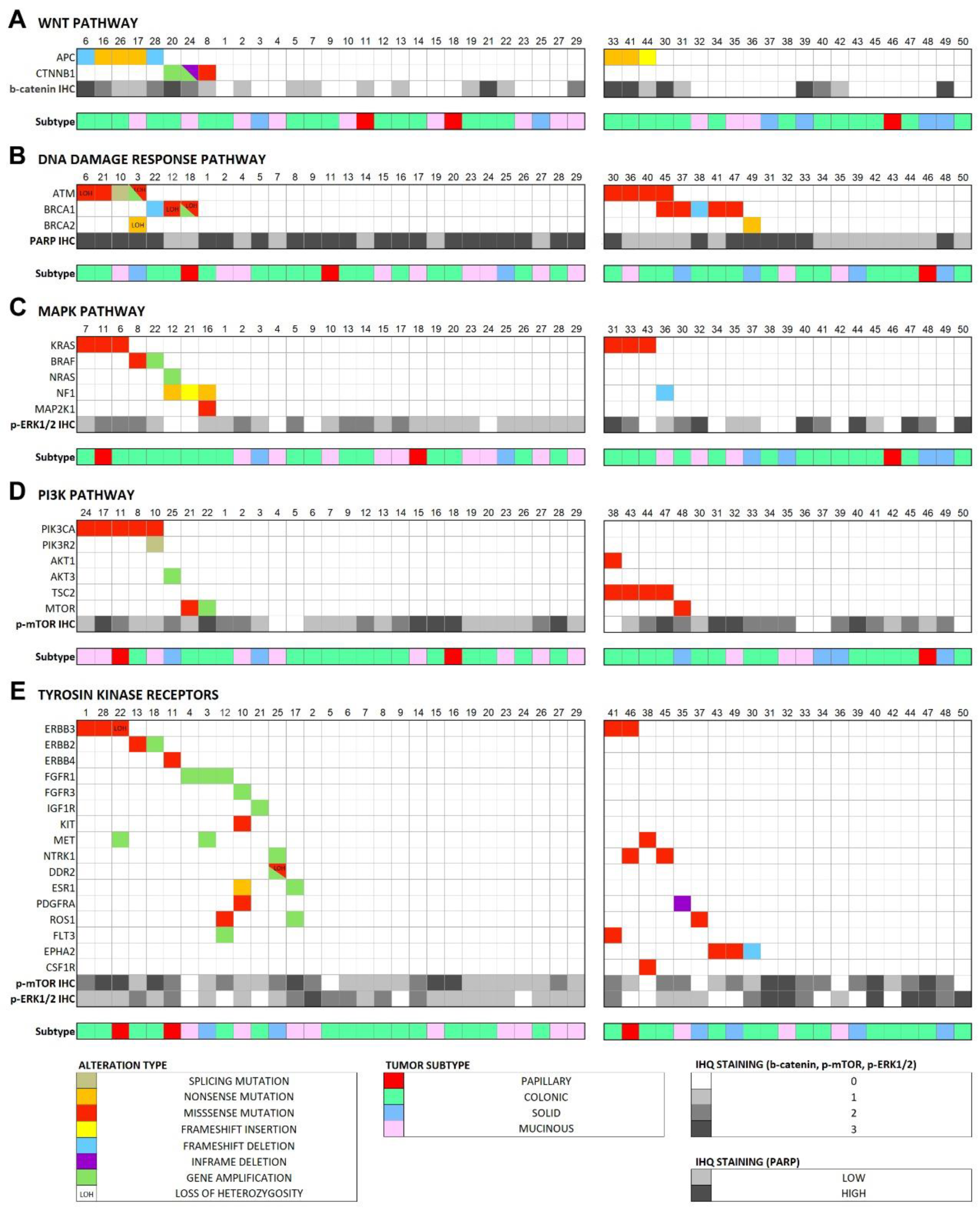 Cancers 13 05022 g004