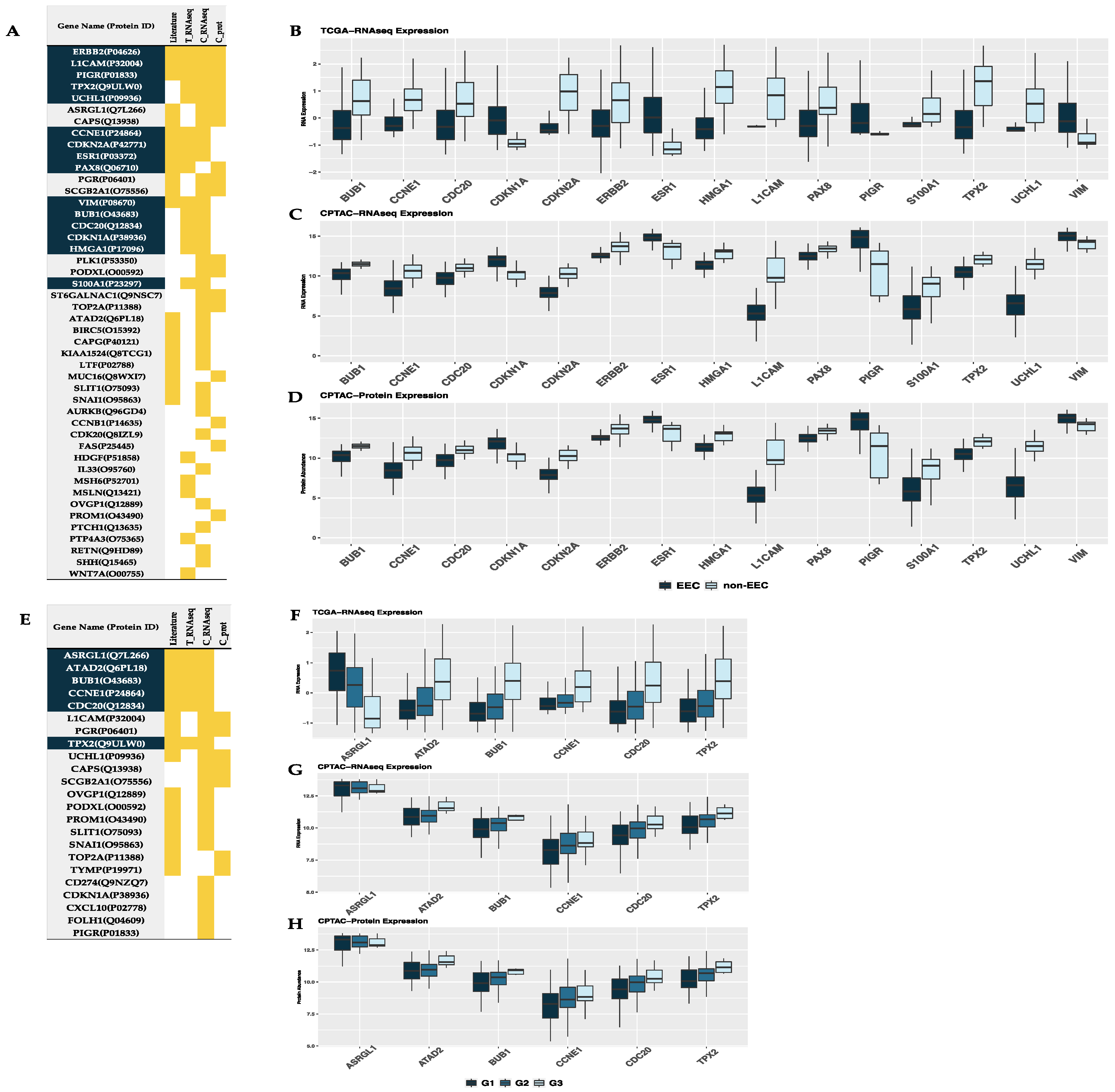 Cancers 13 05052 g003