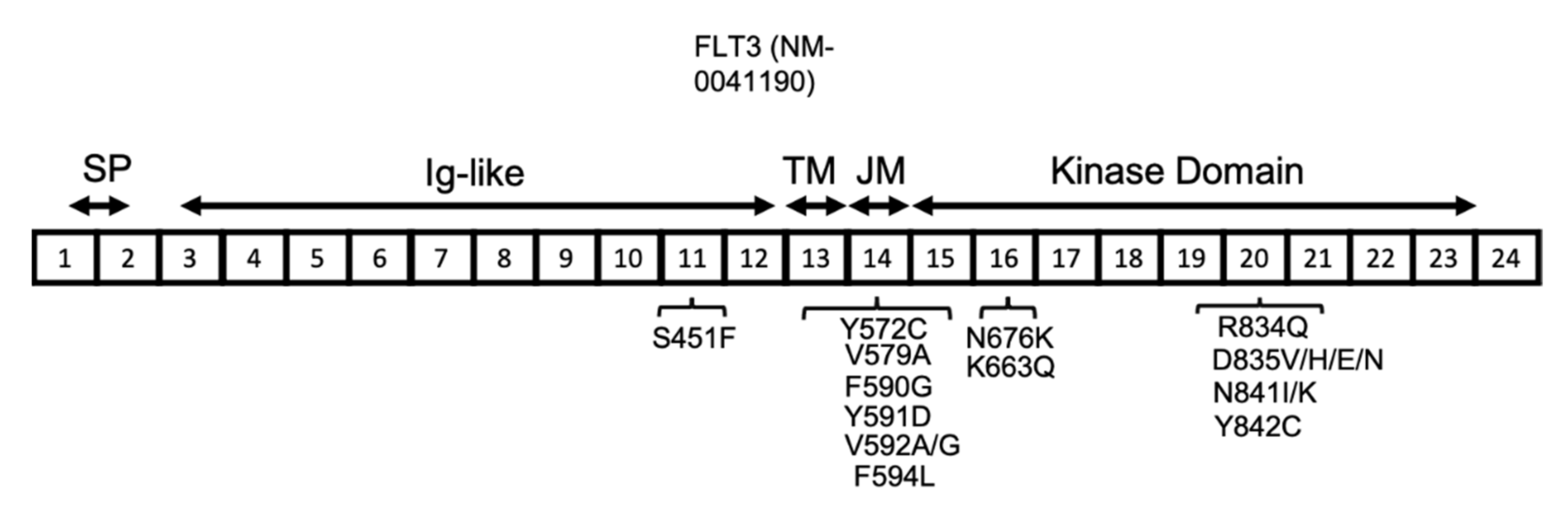 Cancers 13 05055 g003