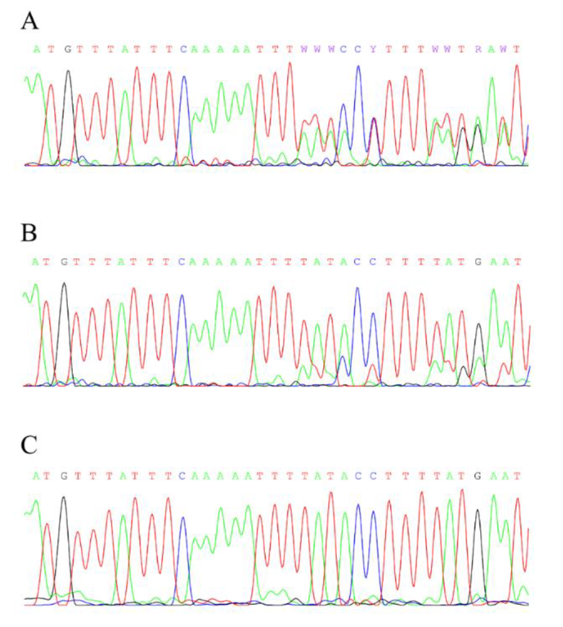 Cancers 13 05068 g003 Cancers 13 05068 g003