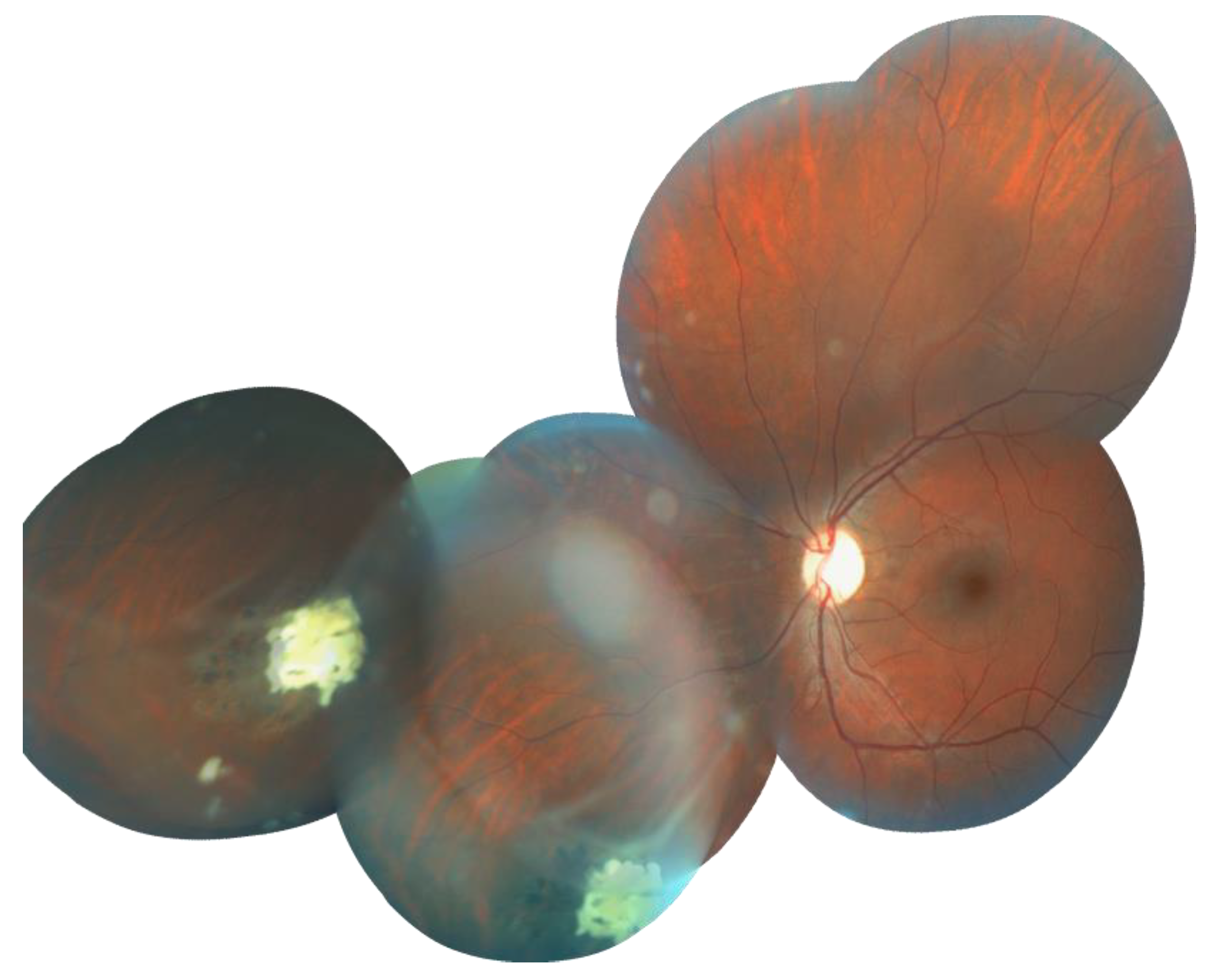 Cancers 13 05068 g005 Cancers 13 05068 g005