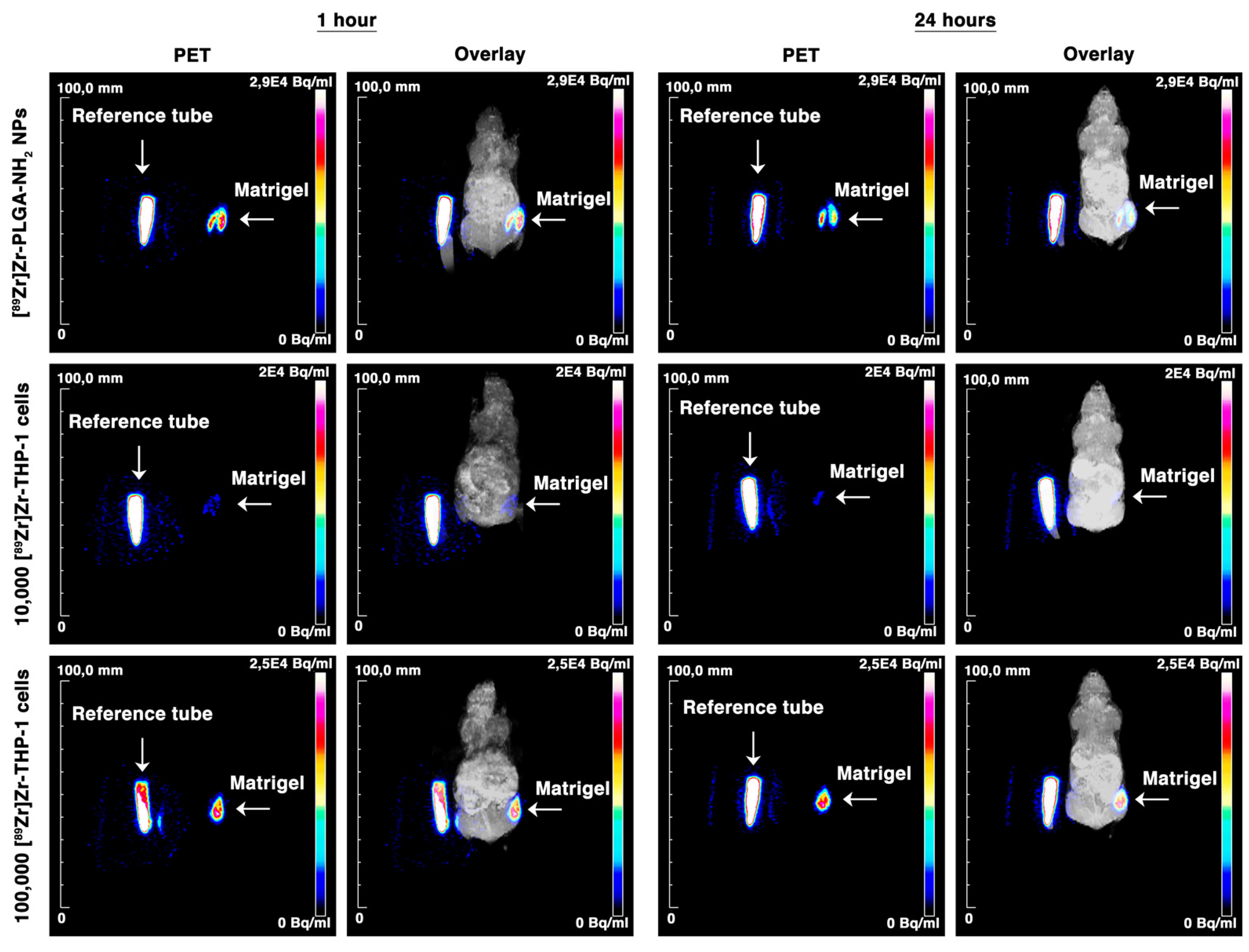 Cancers 13 05069 g006