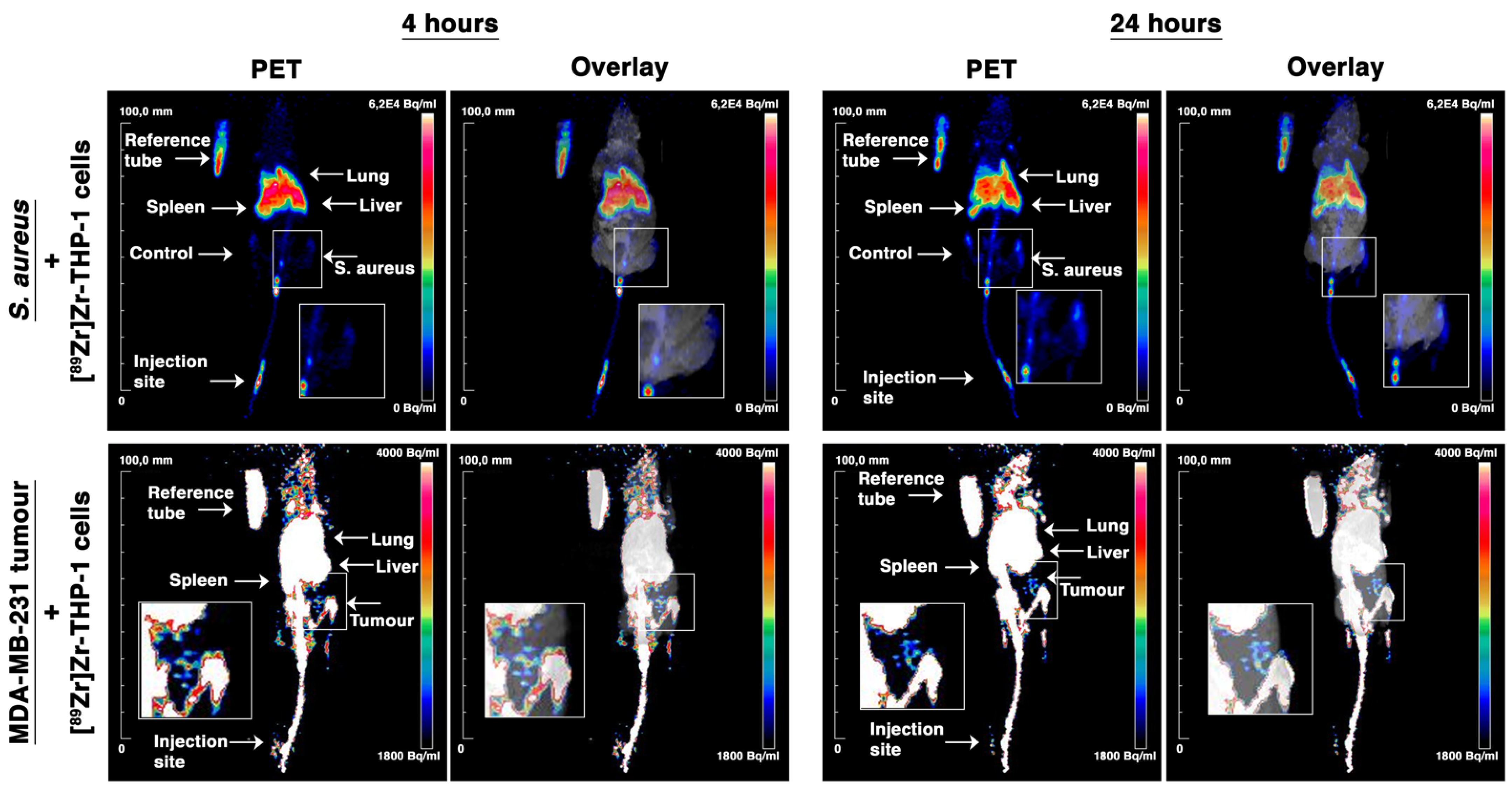 Cancers 13 05069 g008