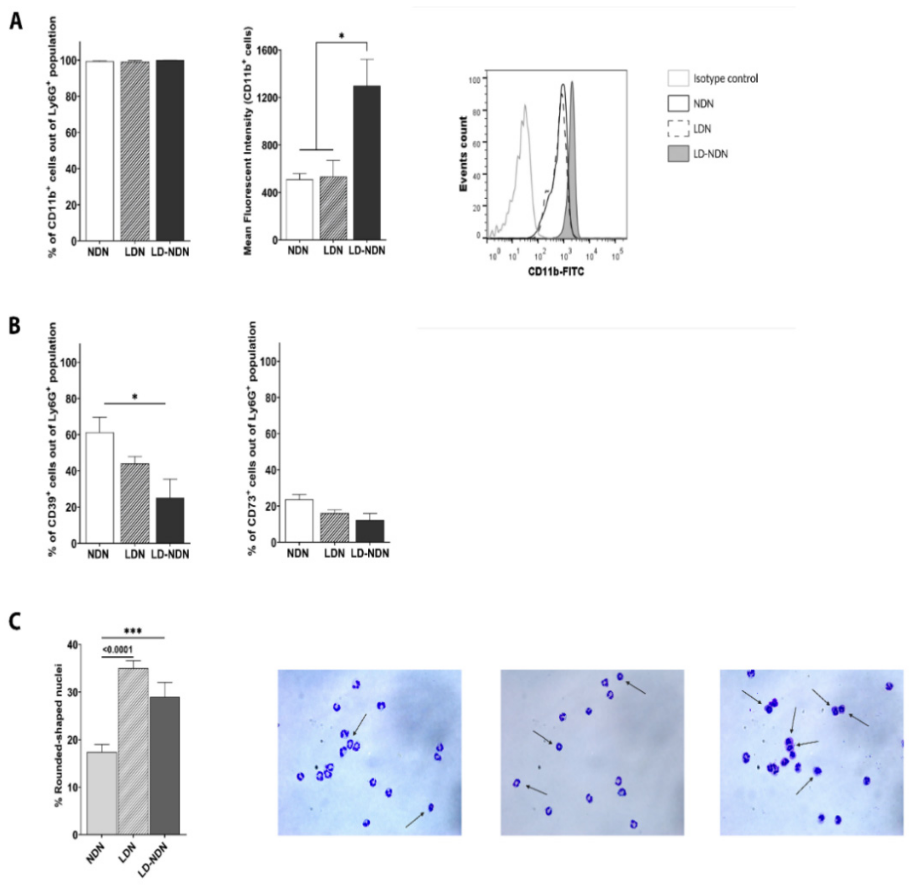 Cancers 13 05082 g005