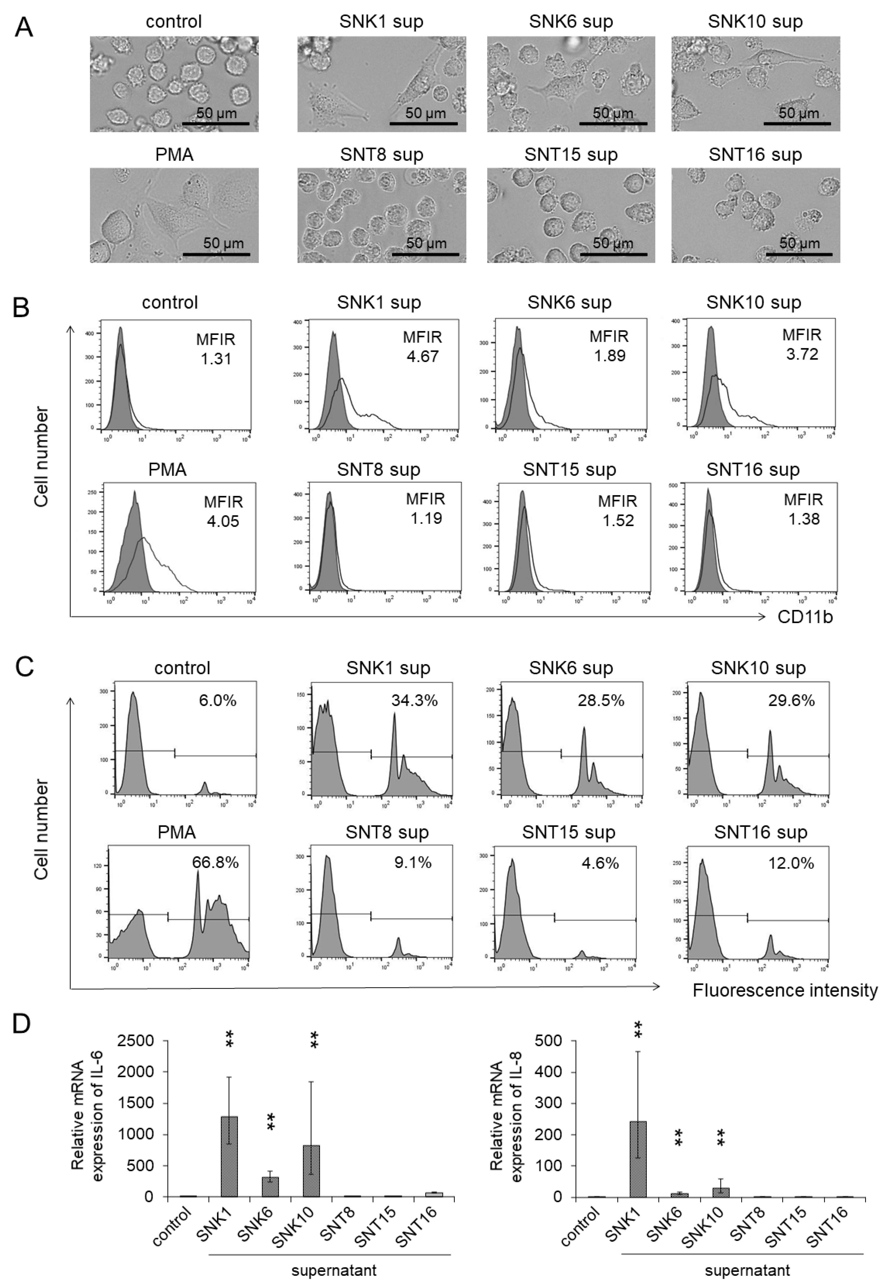 Cancers 13 05097 g001