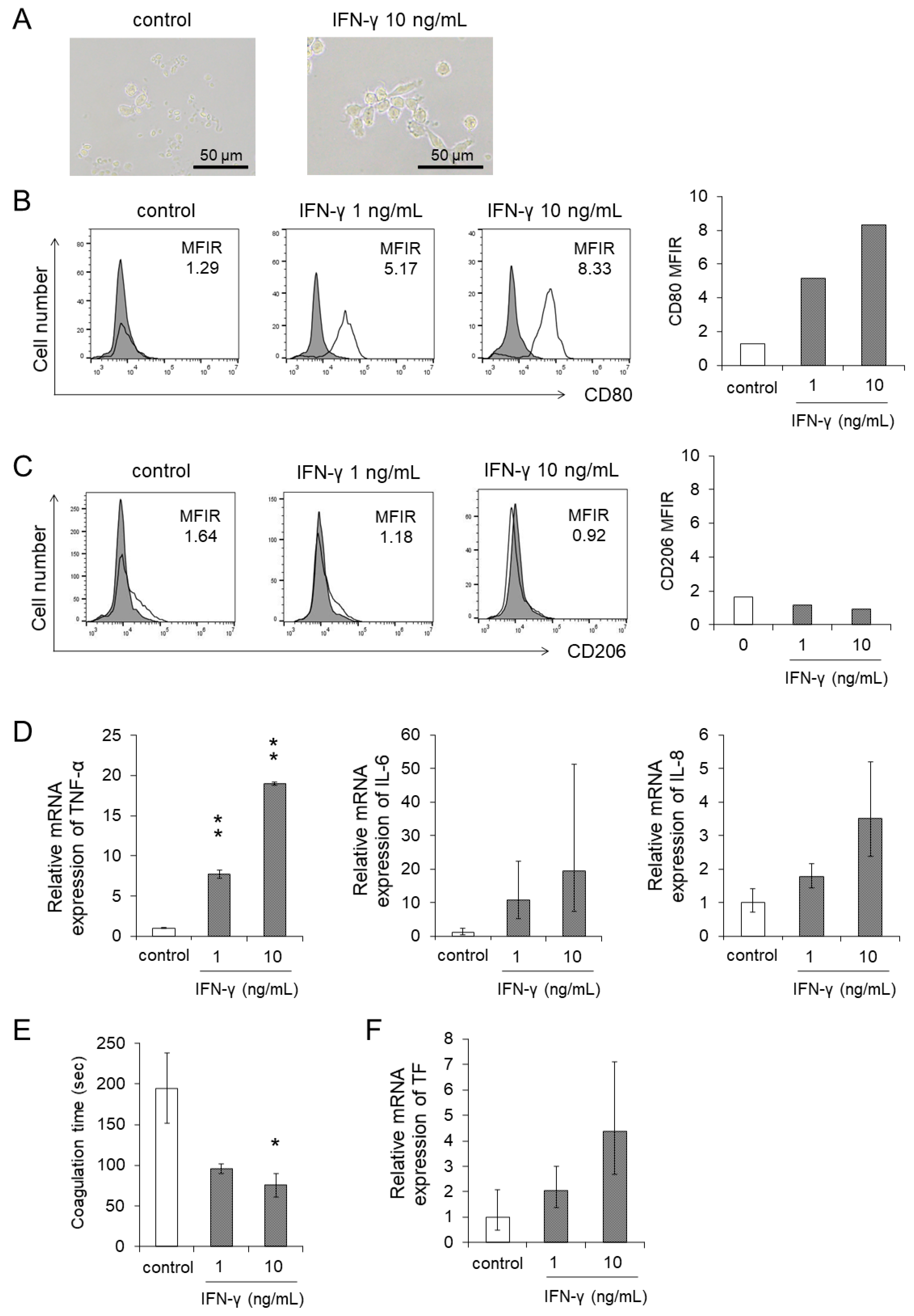 Cancers 13 05097 g005