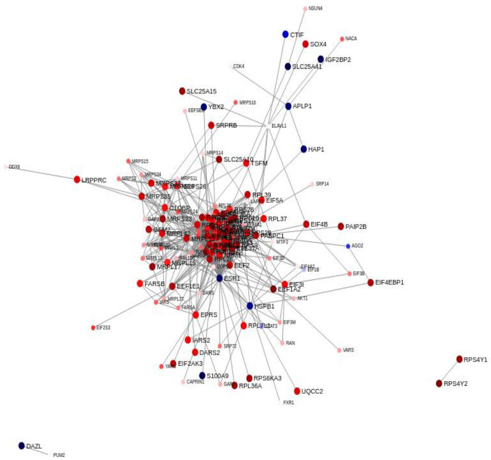 Cancers 13 05143 g008 Cancers 13 05143 g008