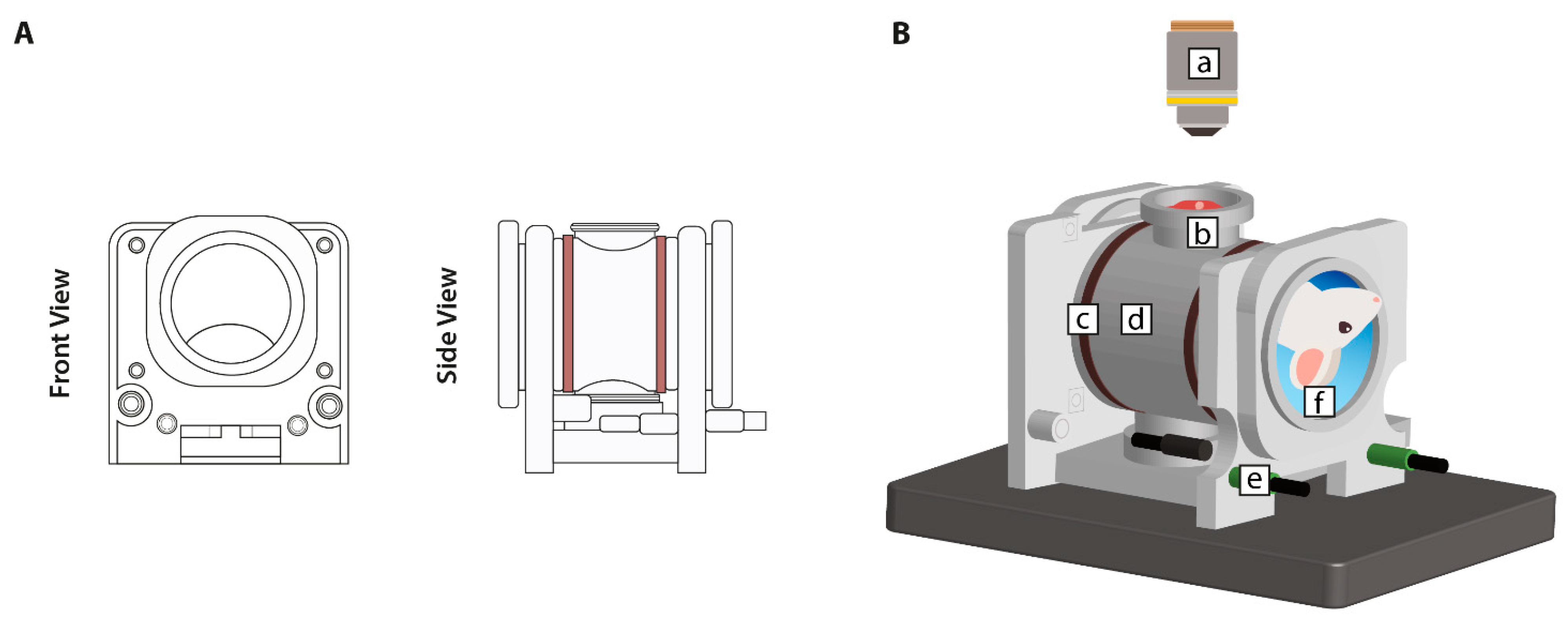 Cancers 13 05146 g003 Cancers 13 05146 g003