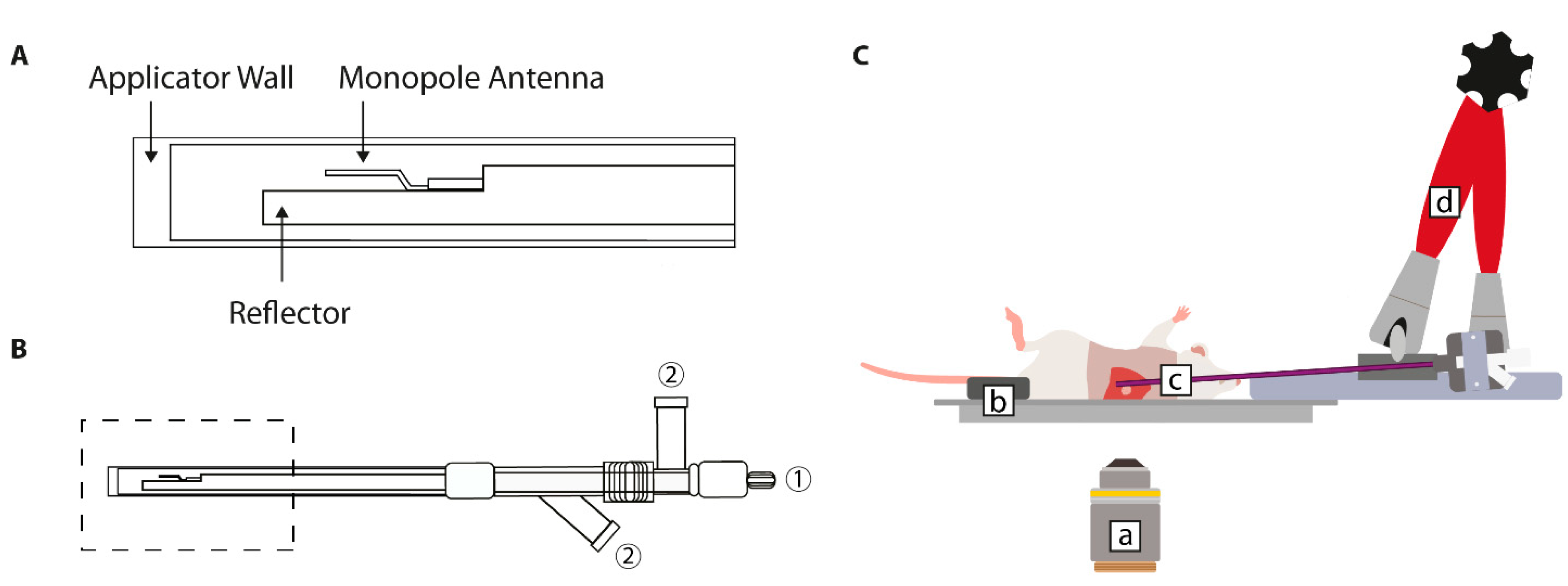 Cancers 13 05146 g004 Cancers 13 05146 g004