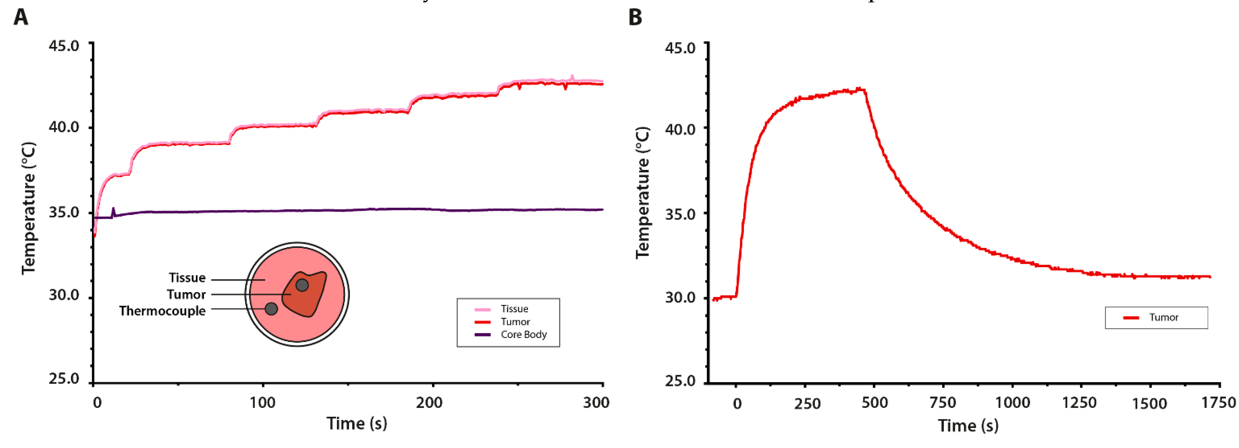 Cancers 13 05146 g007 Cancers 13 05146 g007