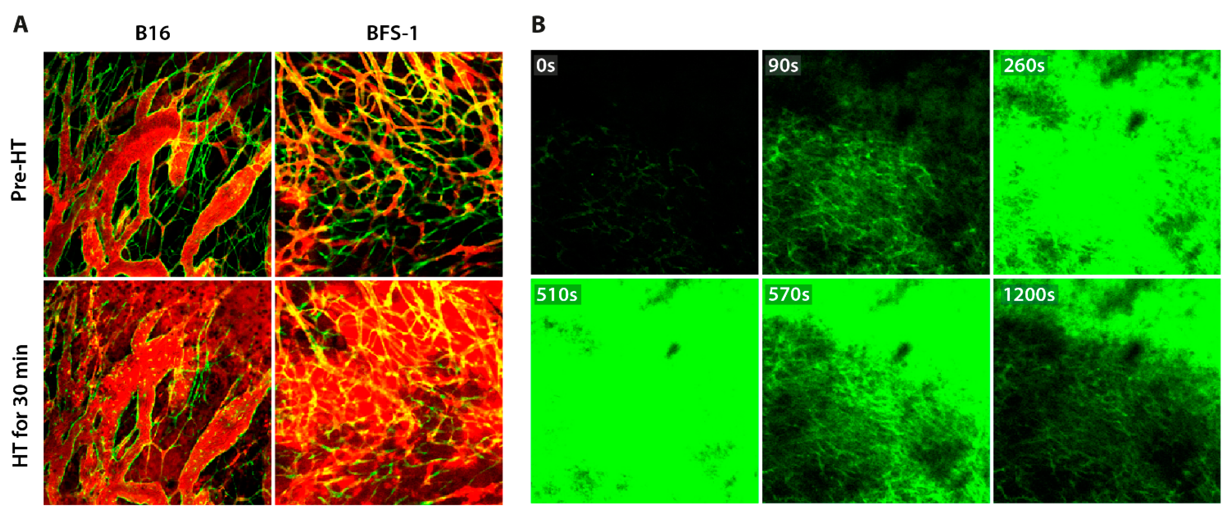 Cancers 13 05146 g008 Cancers 13 05146 g008