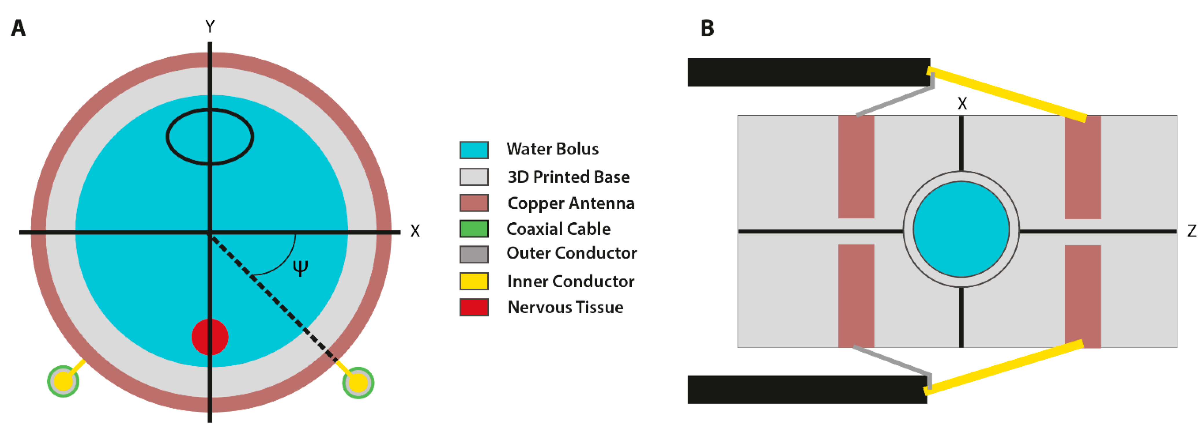 Cancers 13 05146 g009 Cancers 13 05146 g009