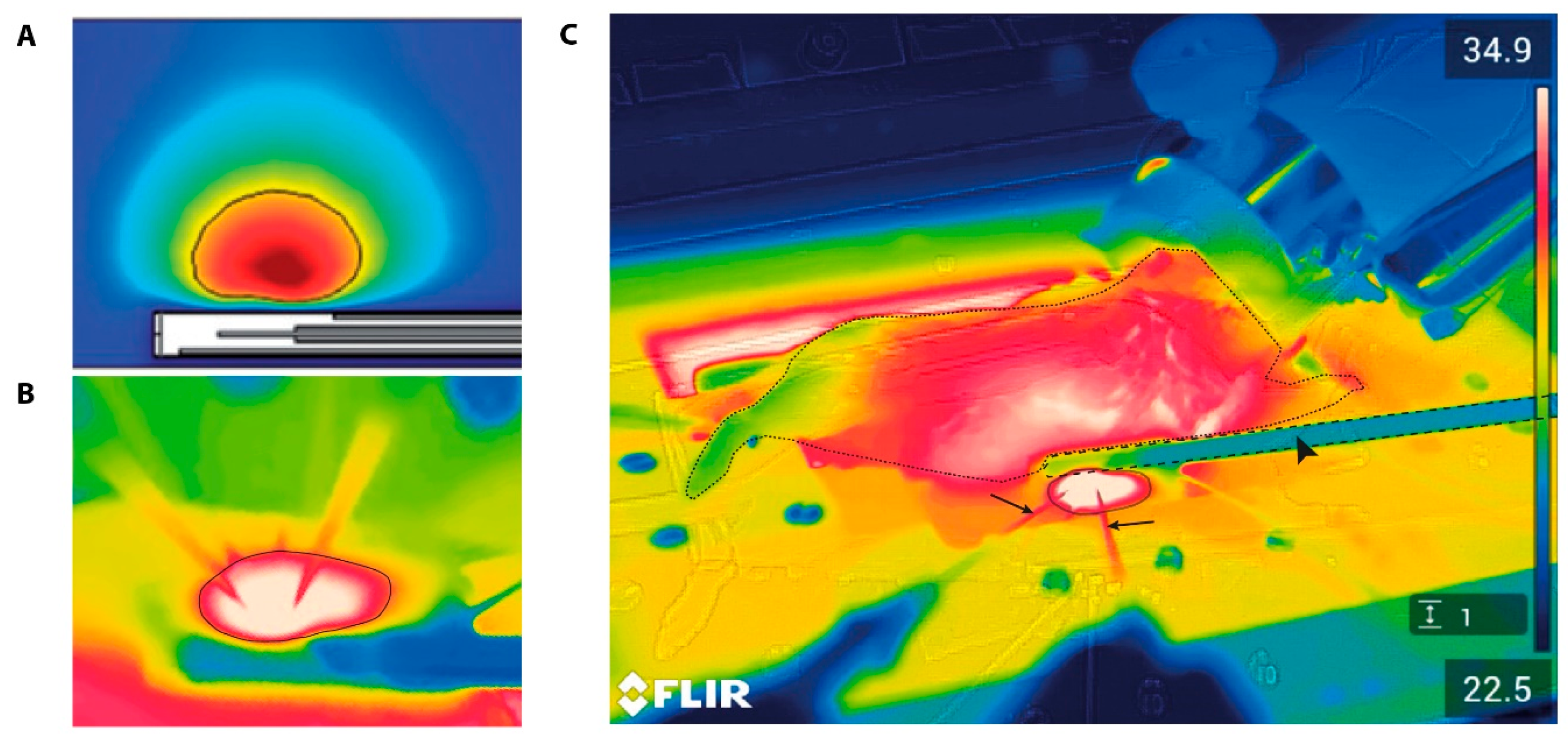 Cancers 13 05146 g012 Cancers 13 05146 g012