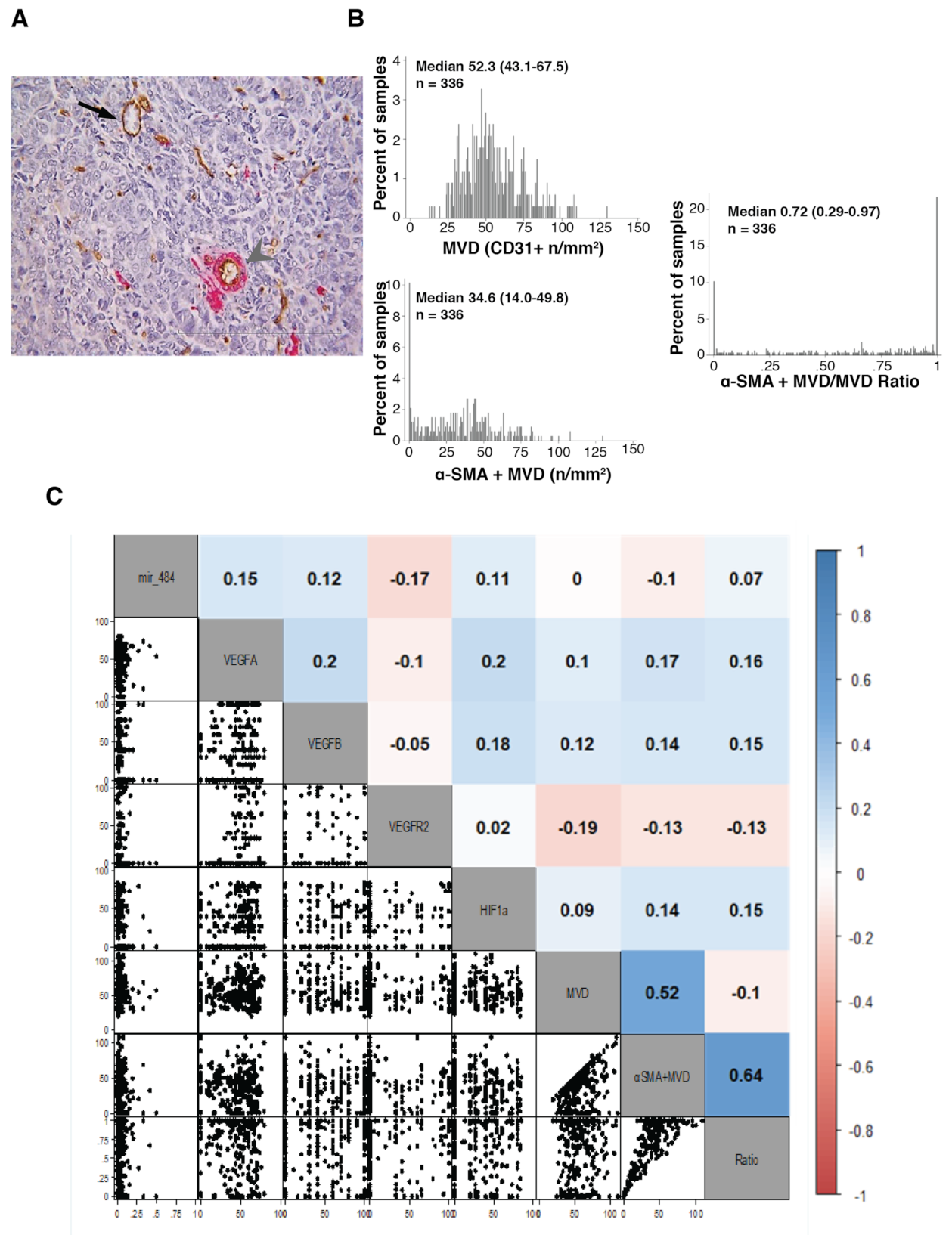 Cancers 13 05152 g002 Cancers 13 05152 g002