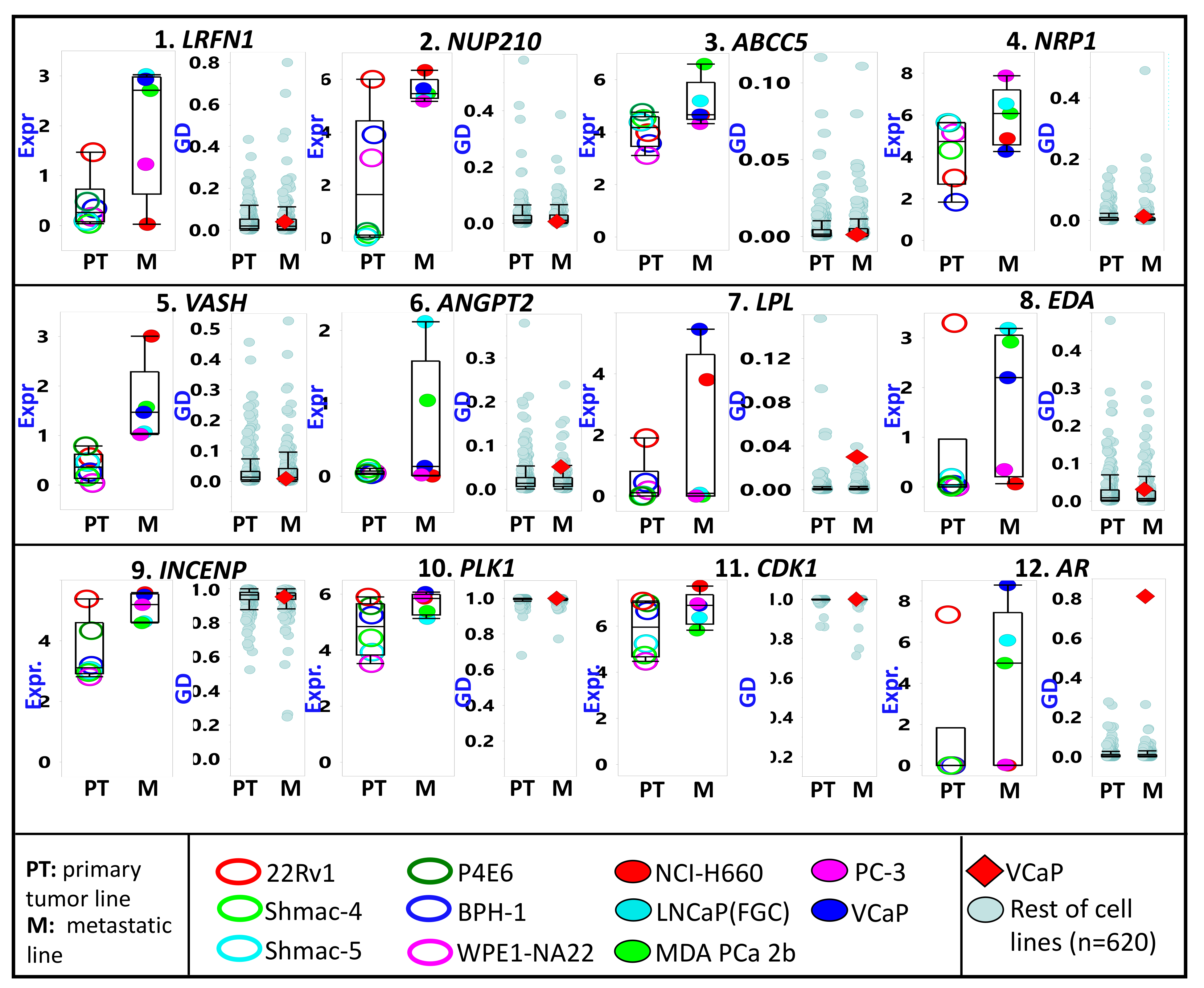 Cancers 13 05158 g004