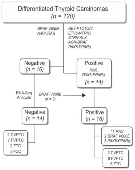 Cancers | Free Full-Text | Molecular Signature Expands the