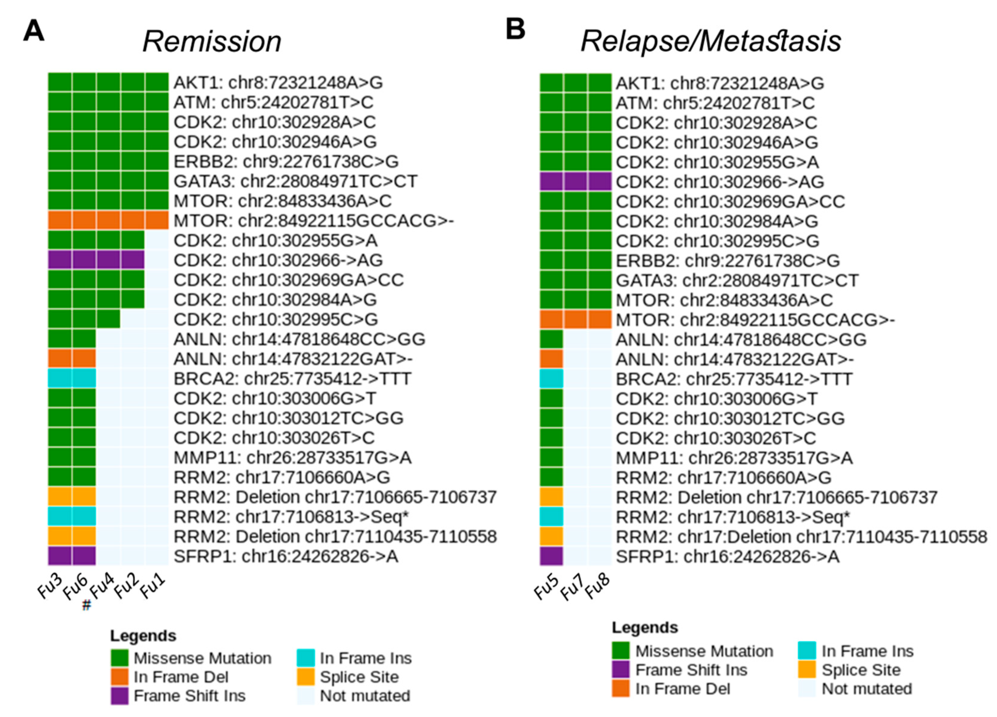 Cancers 13 05233 g010