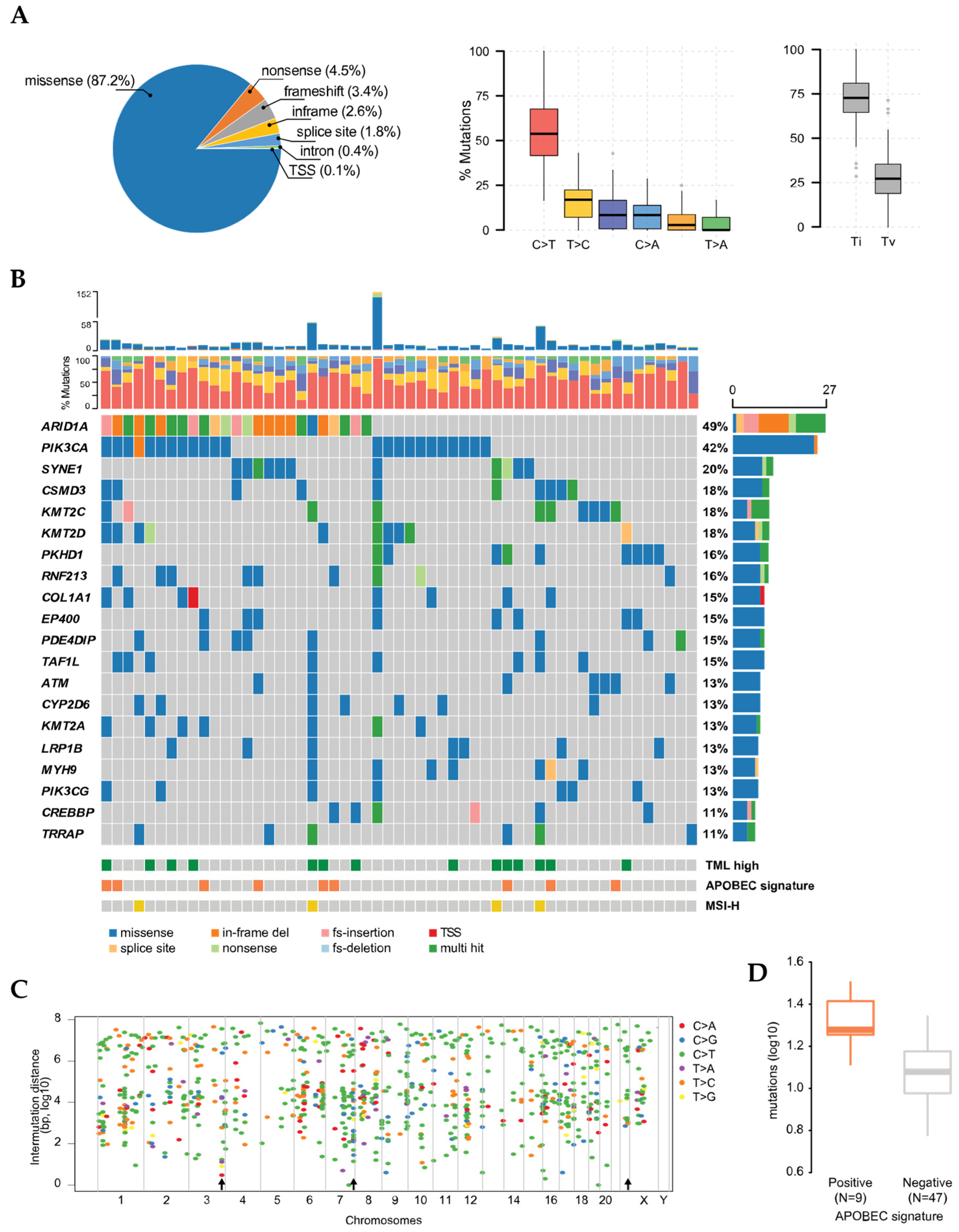 Cancers | Free Full-Text | Genomic Sub-Classification of Ovarian Clear Cell  Carcinoma Revealed by Distinct Mutational Signatures