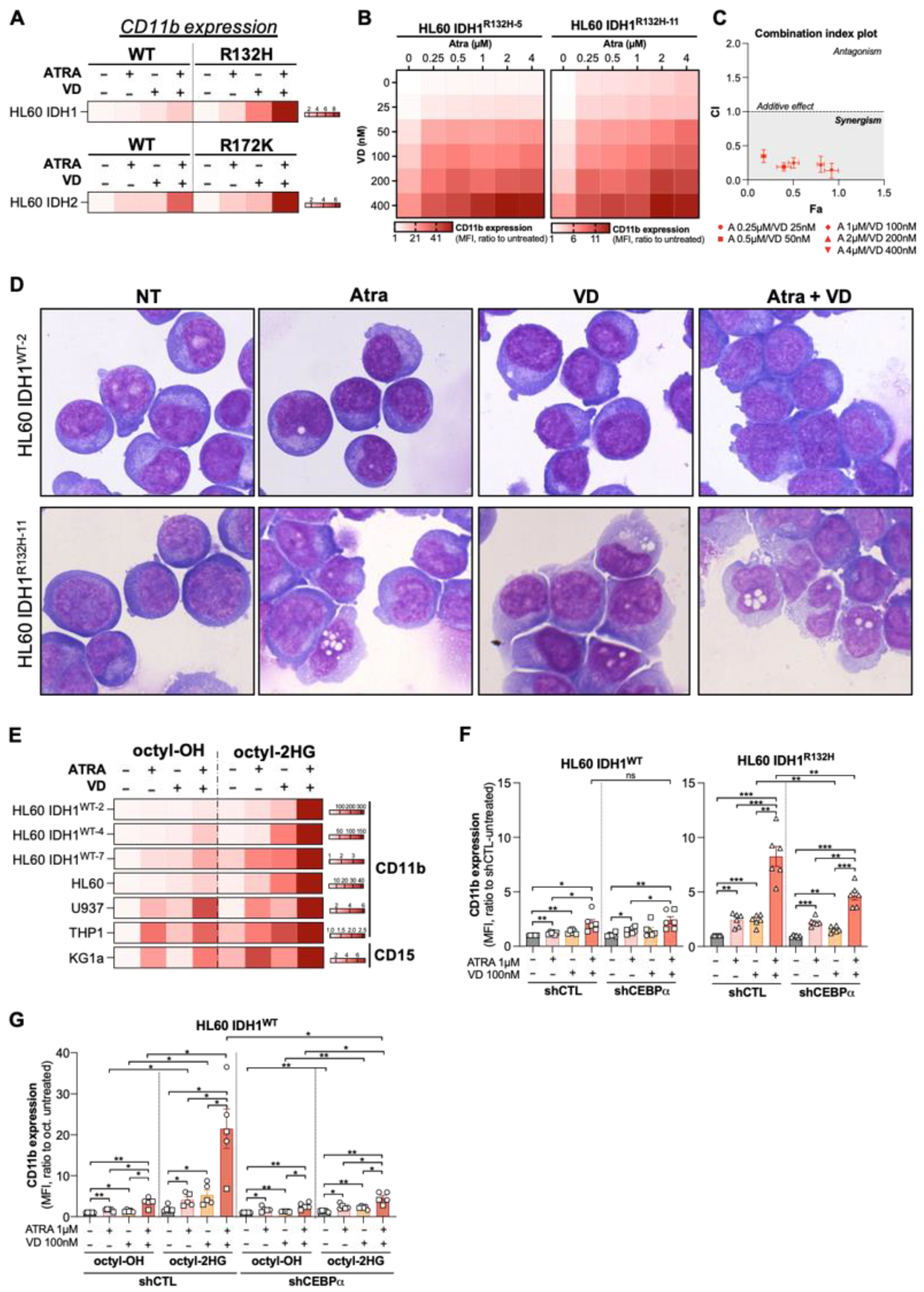 Cancers 13 05243 g003