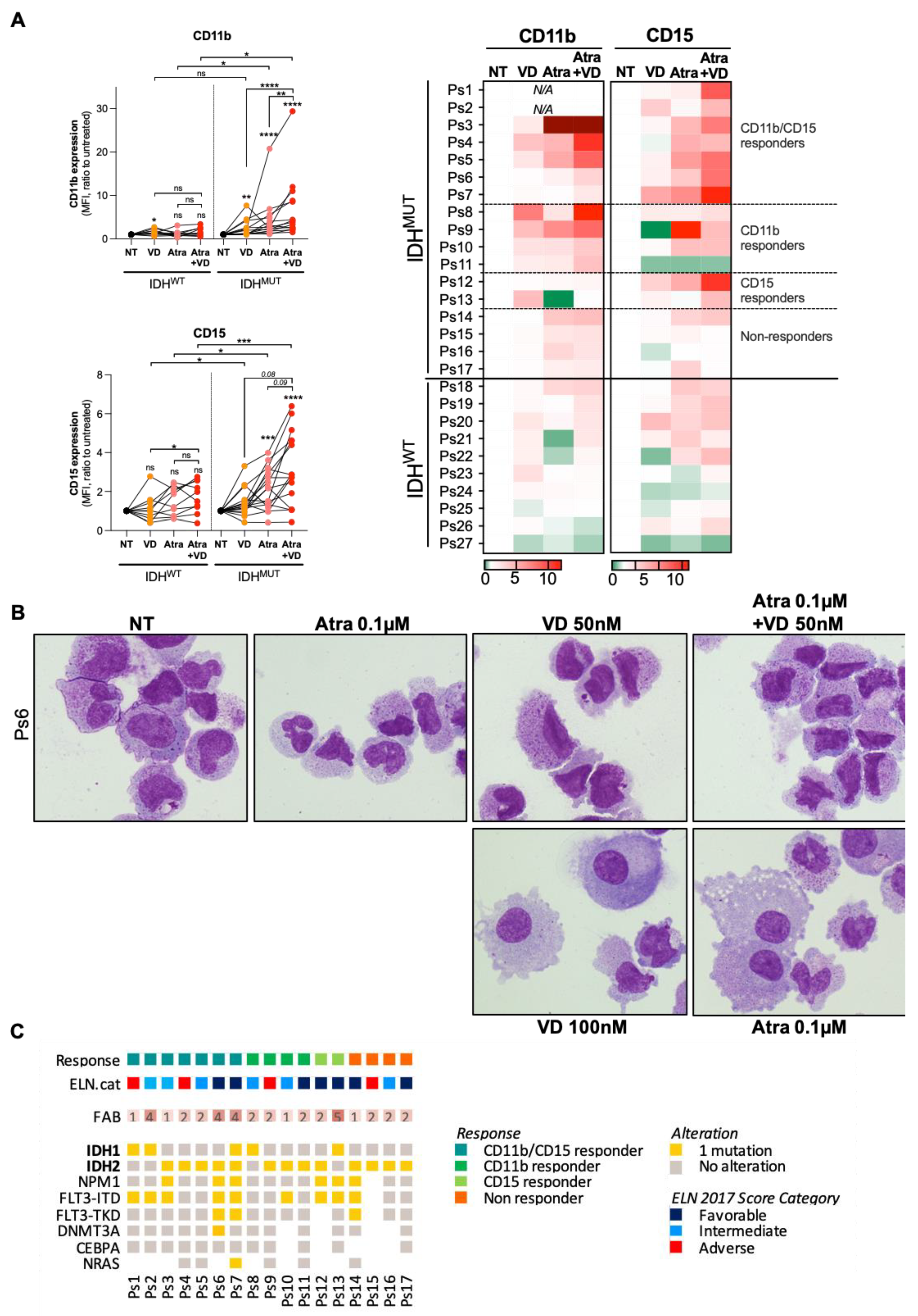 Cancers 13 05243 g004
