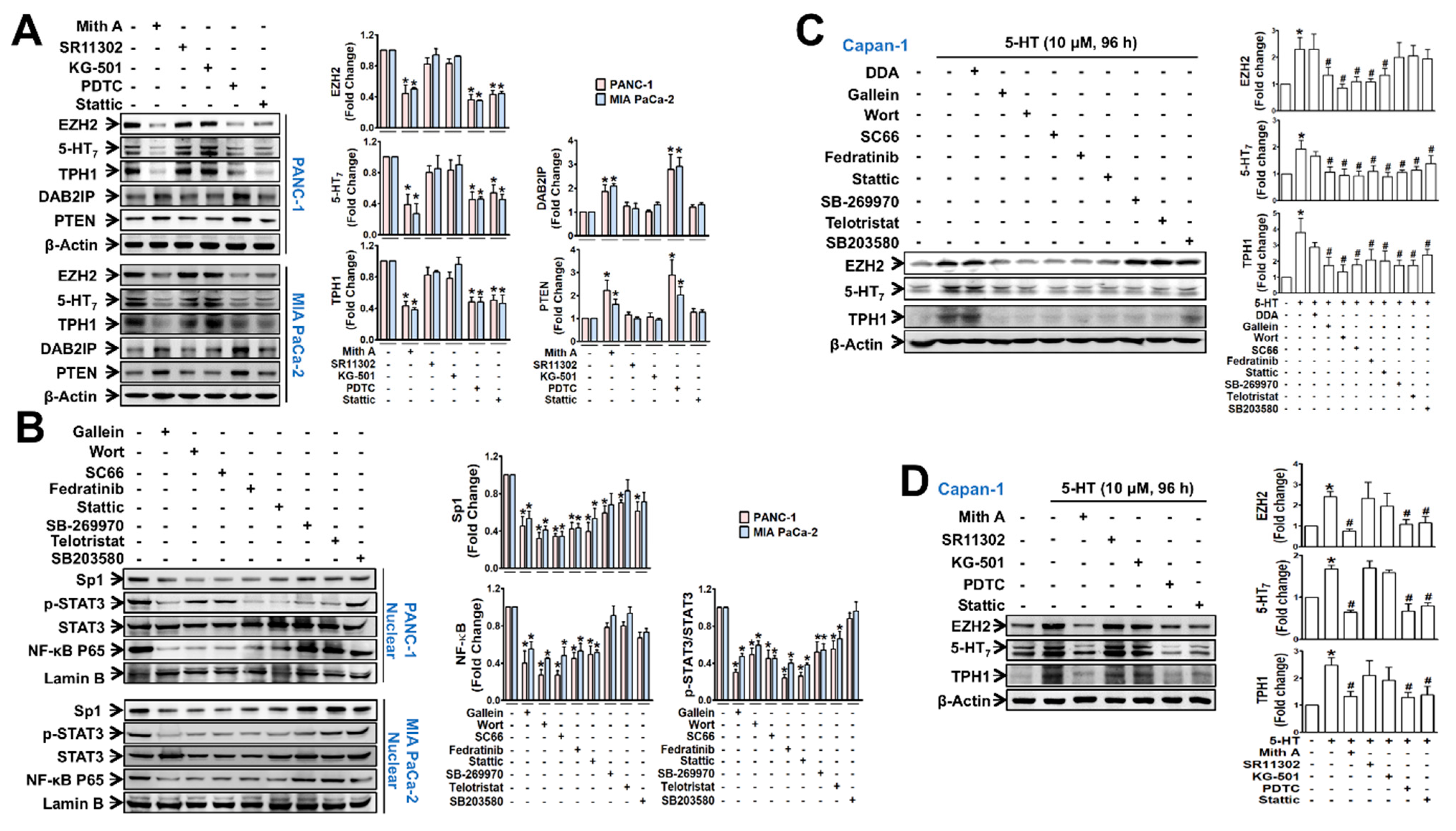 Cancers 13 05305 g005