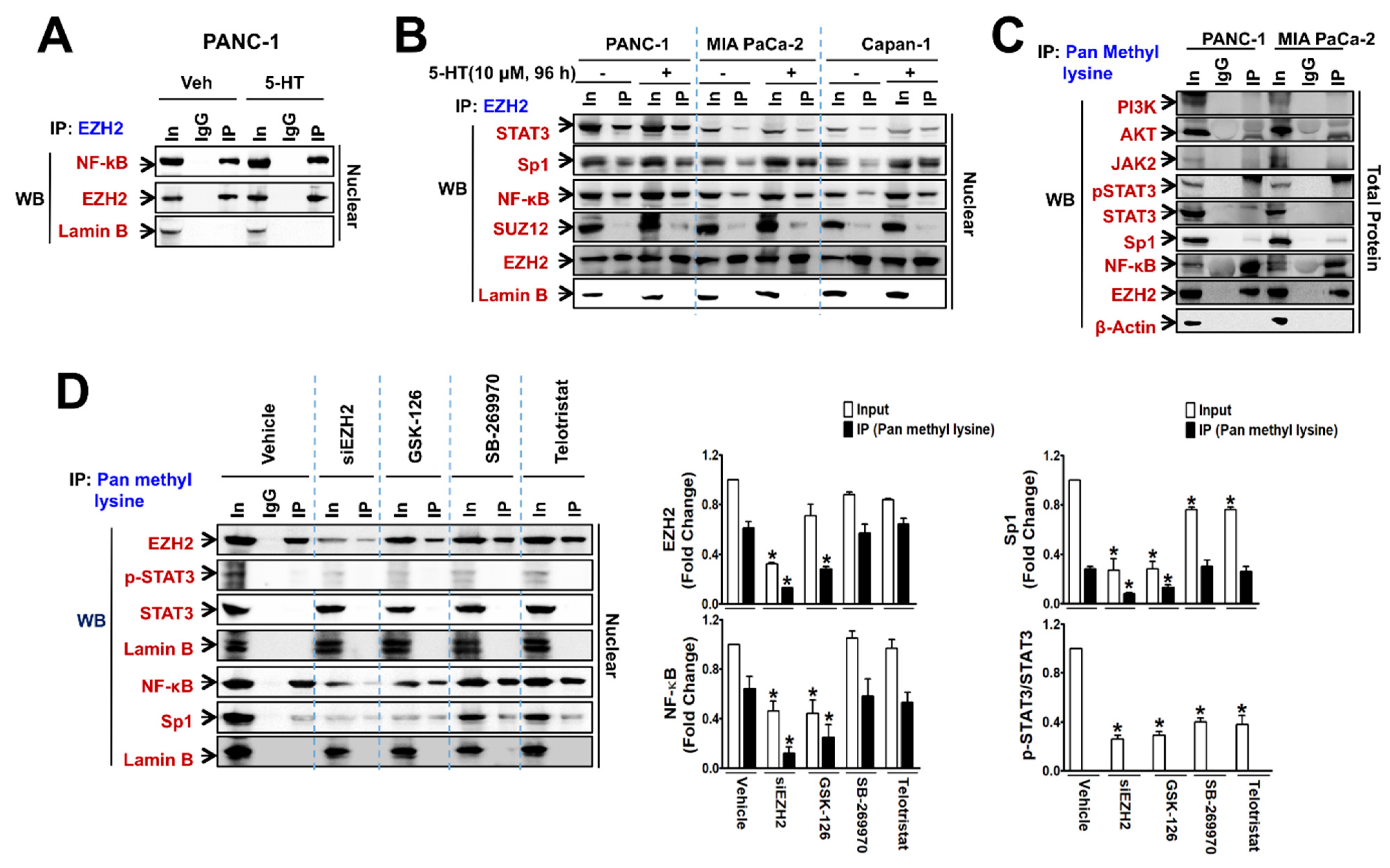 Cancers 13 05305 g006