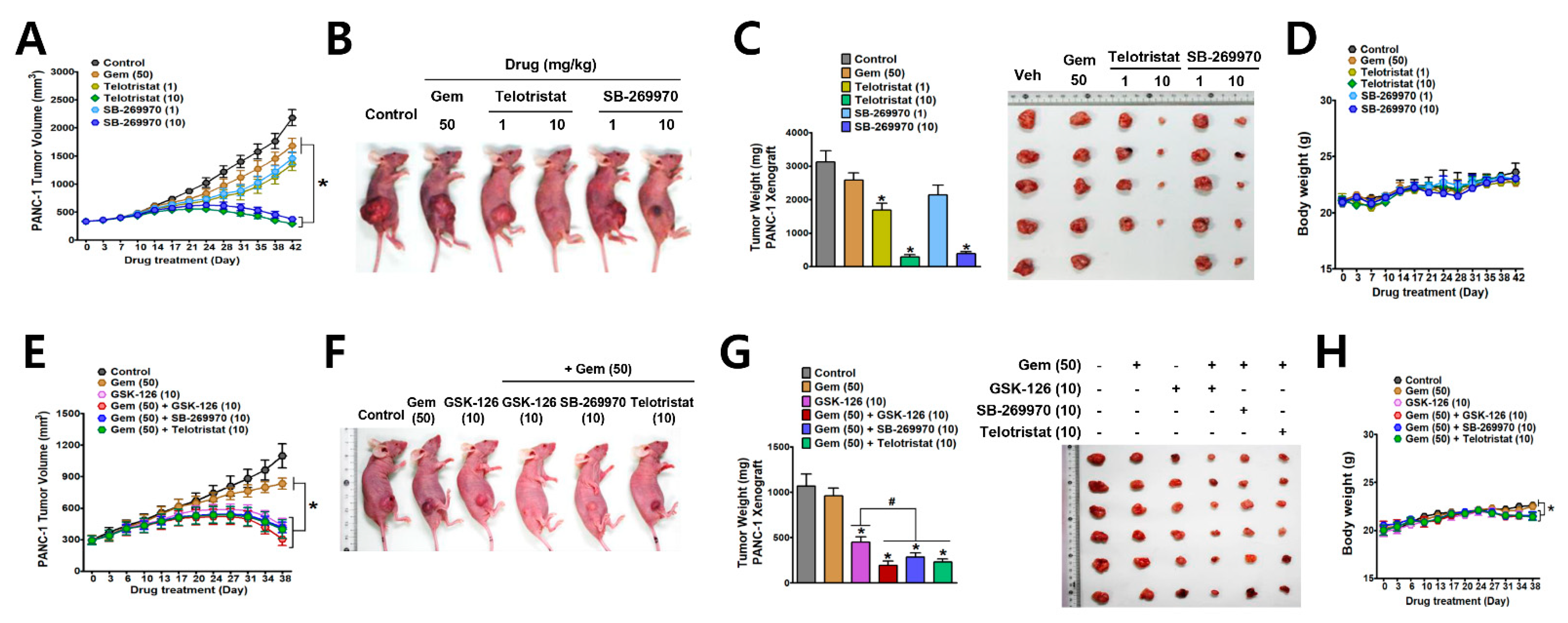 Cancers 13 05305 g007