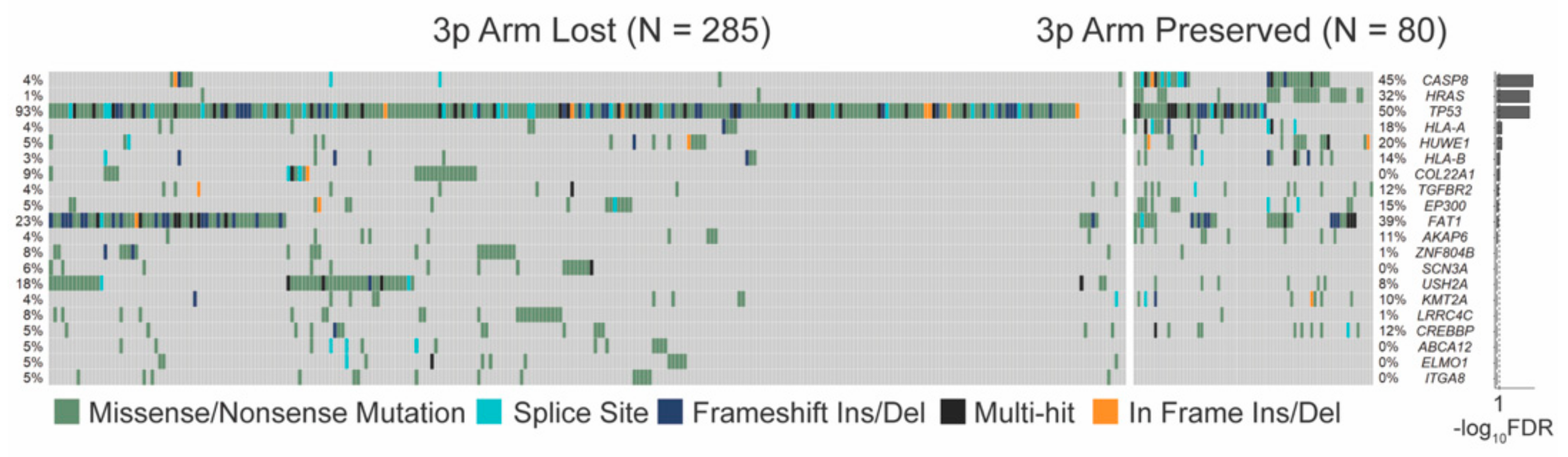 Cancers 13 05313 g003