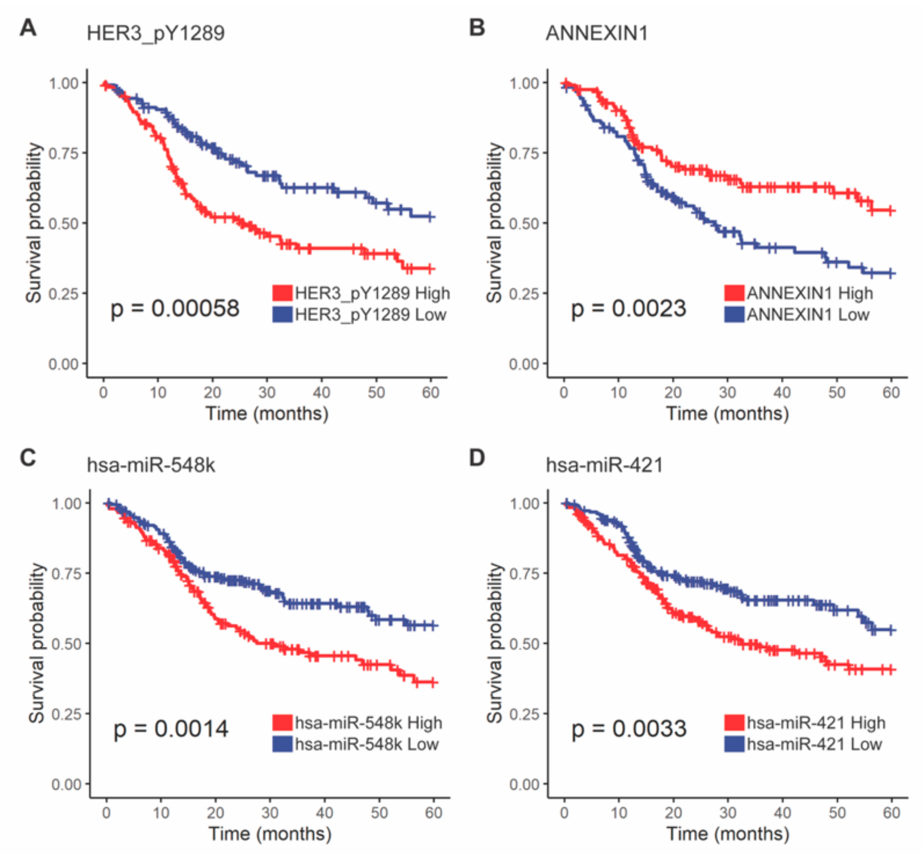 Cancers 13 05313 g007