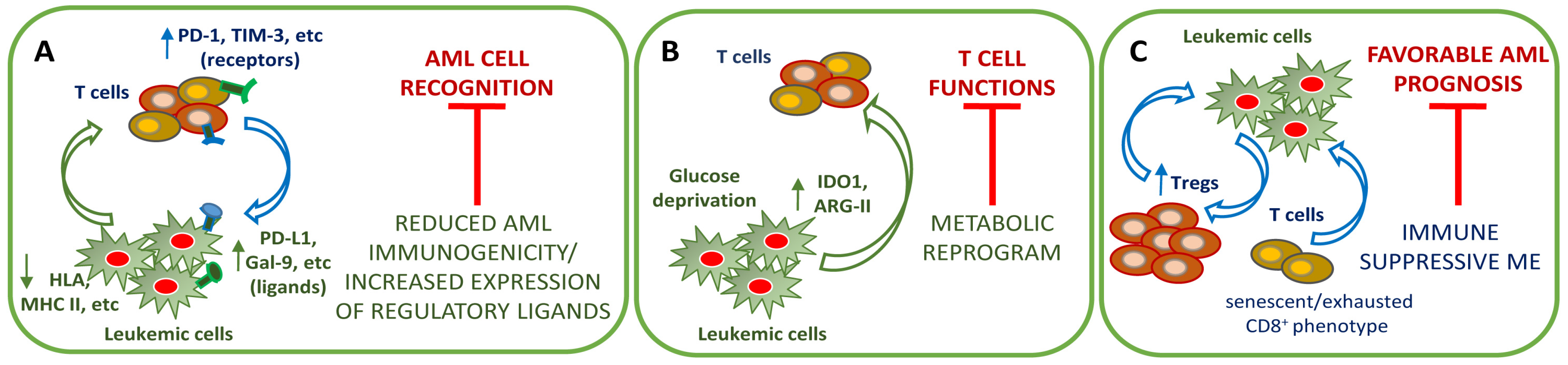 Cancers 13 05319 g002