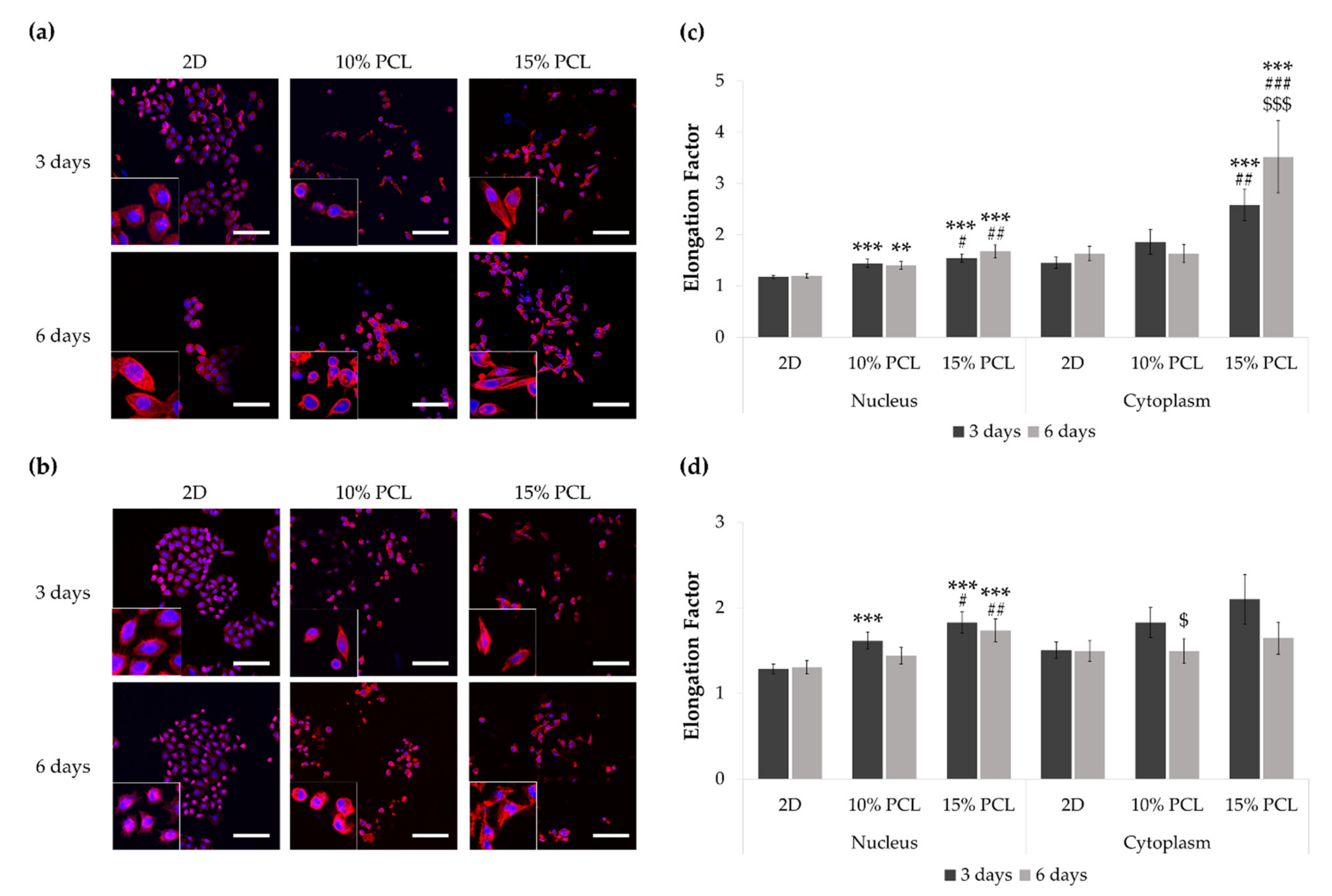 Cancers 13 05320 g002