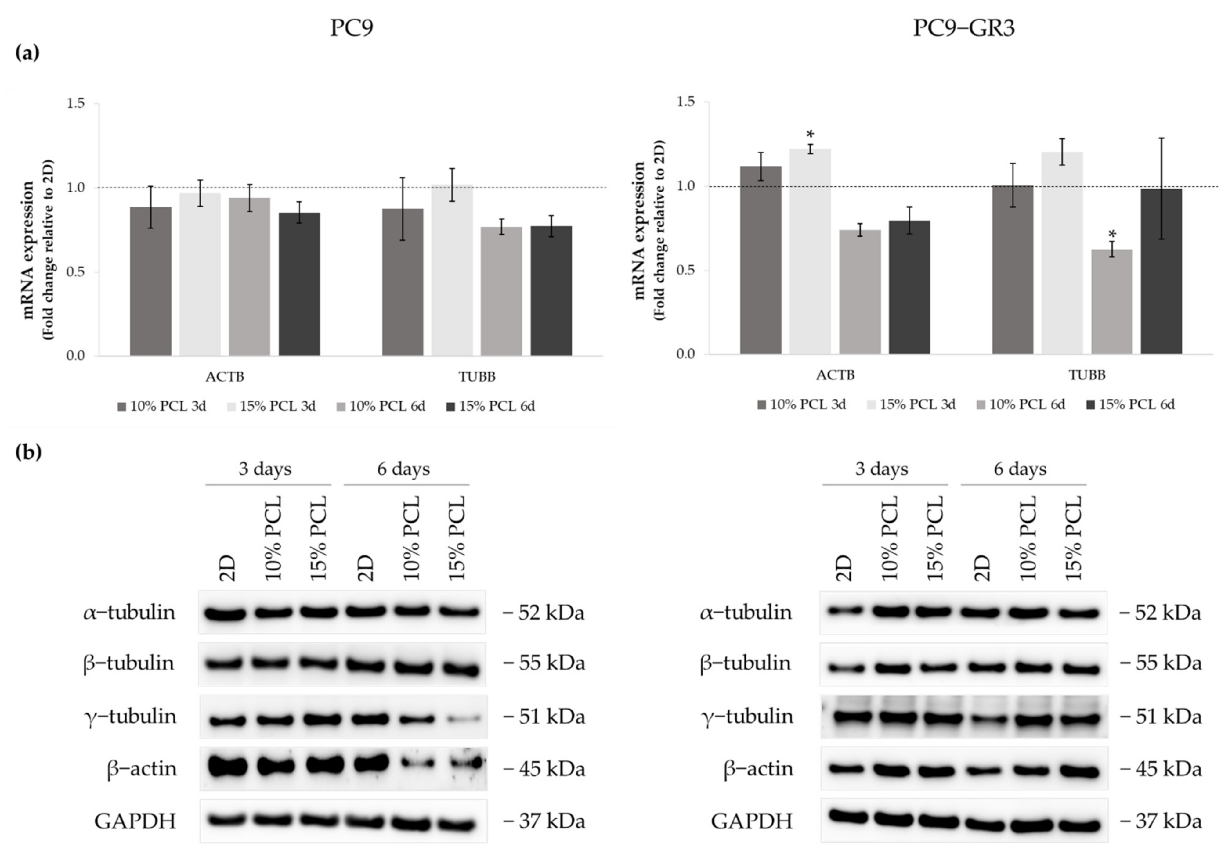 Cancers 13 05320 g003